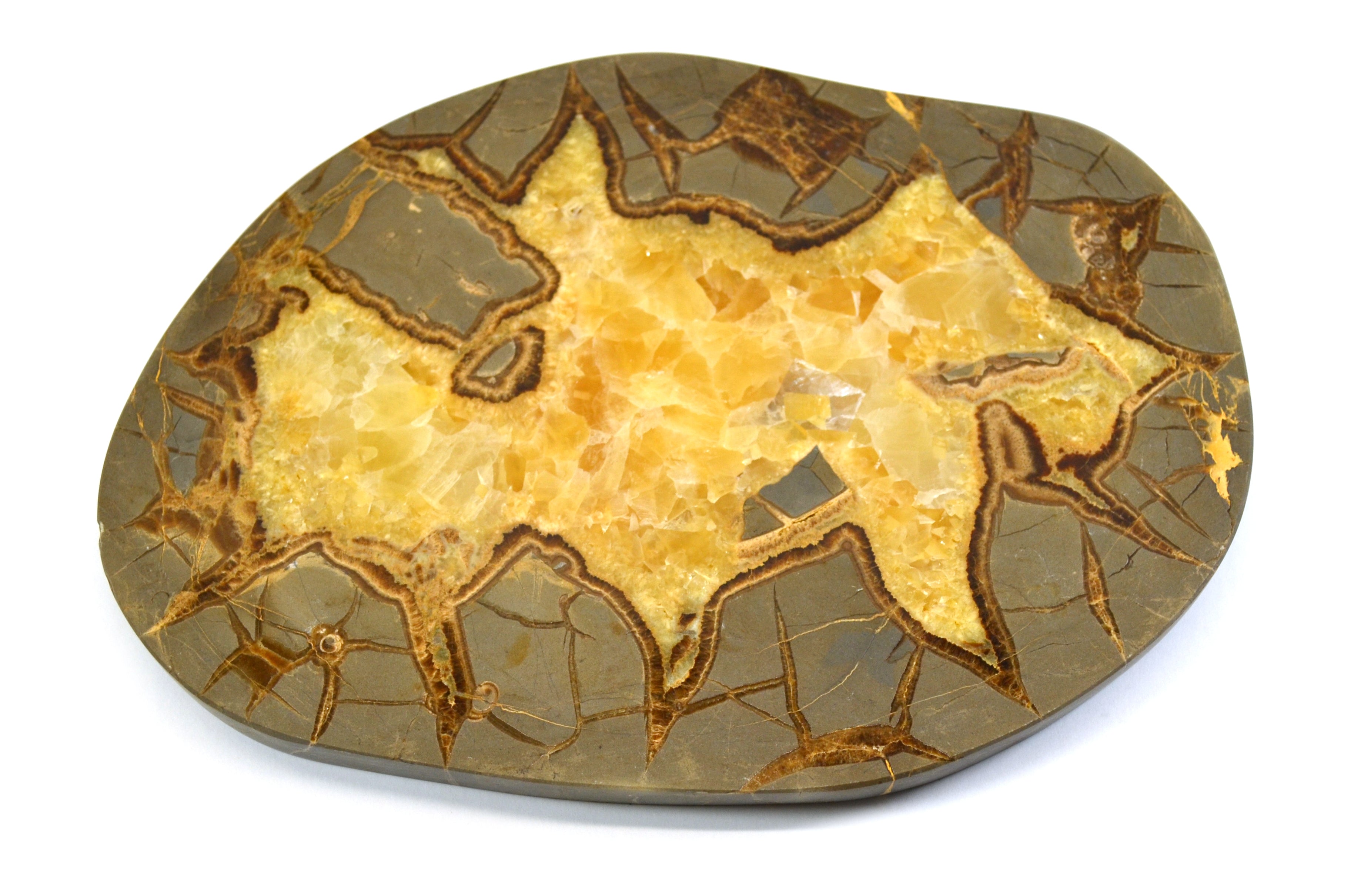 Polished Septarian Calcite Plate Specimen, 8 x 6 inch