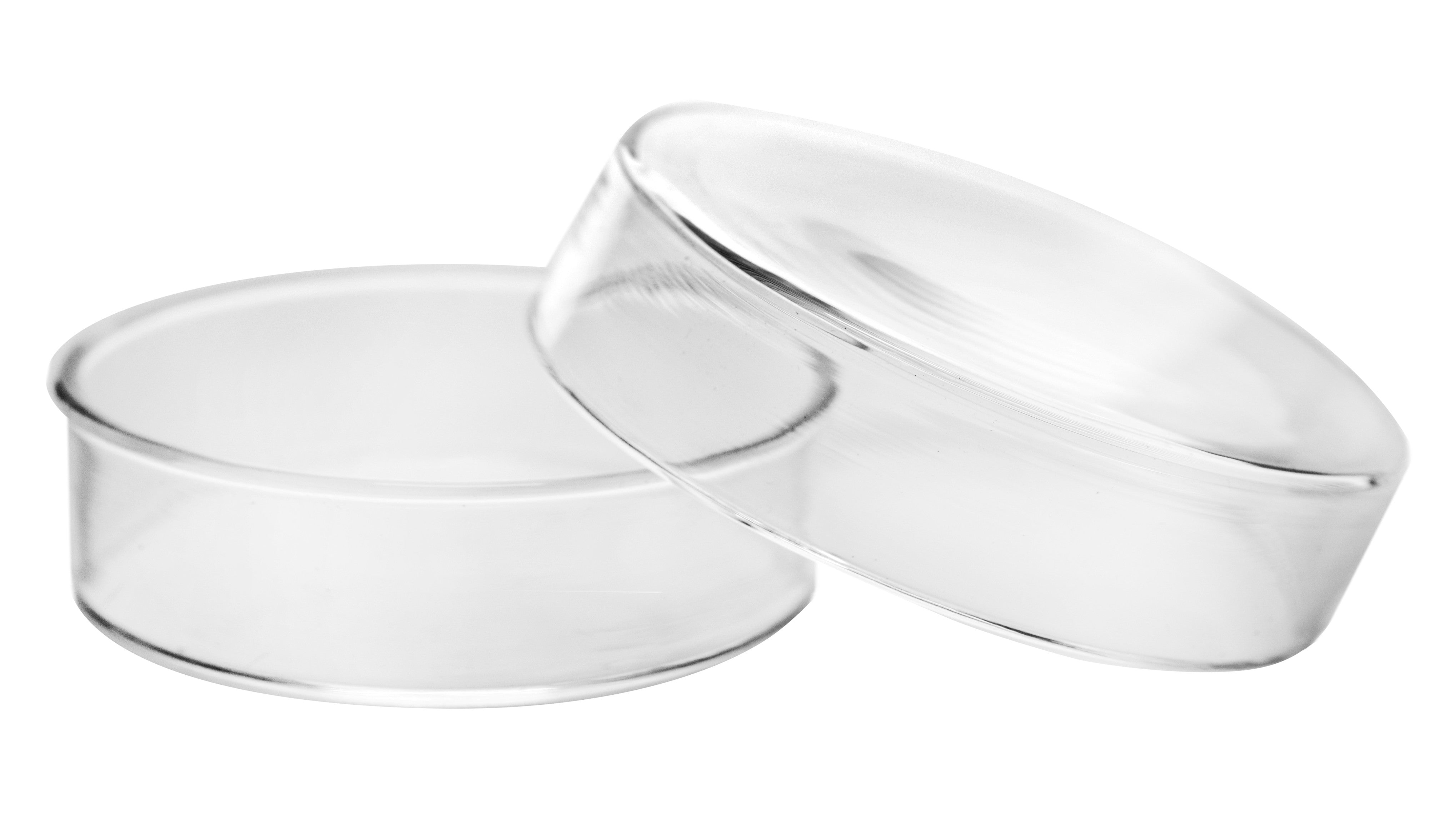 Borosilicate Glass Petri Dish with Beaded Edges