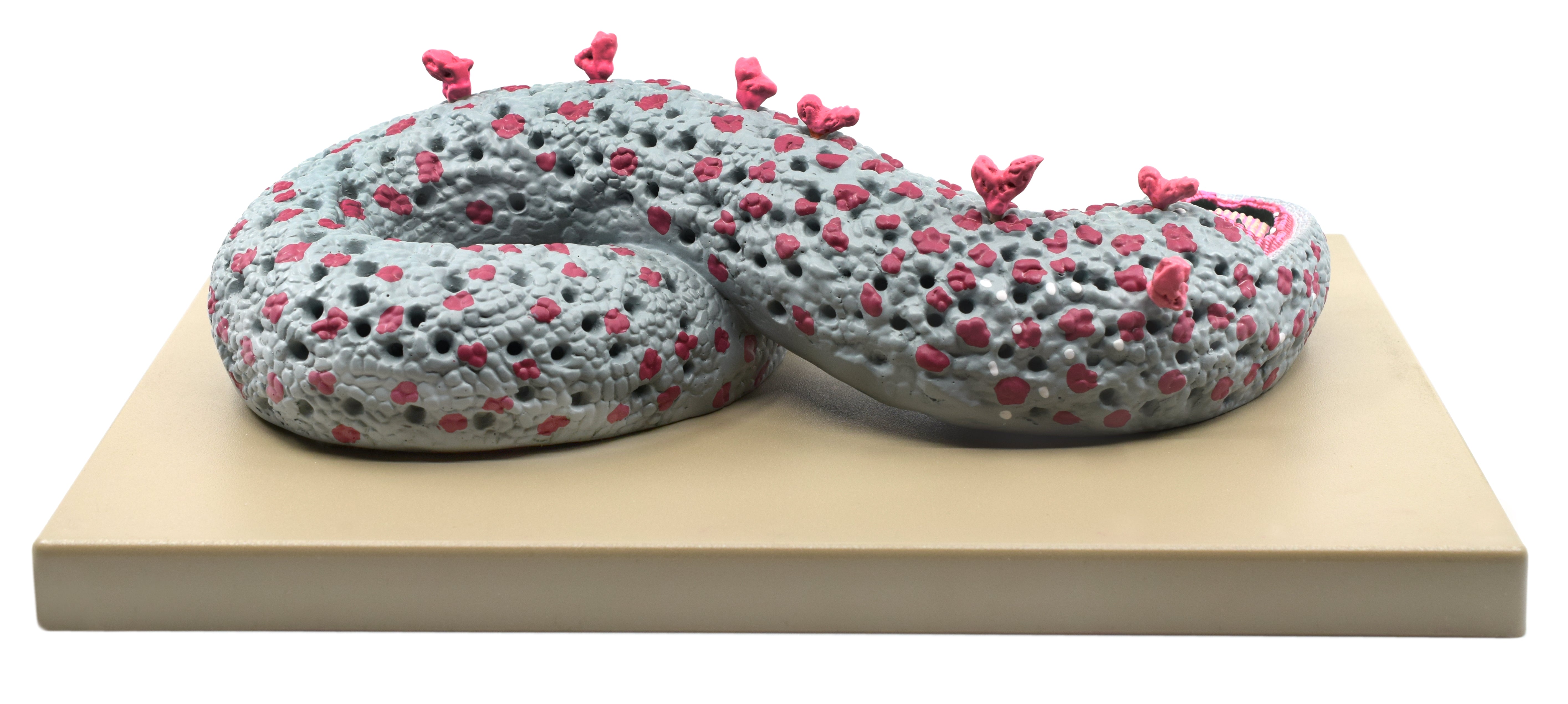 Hand-Painted 3D Ebola Virus Sectional Anatomical Model on Base, 100000x Magnification, 16 x 12 inch