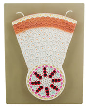 Monocot Root Transverse Section Model, Hand-Painted on Base