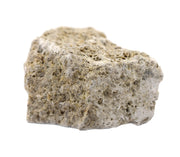 Fossiliferous Limestone Specimen