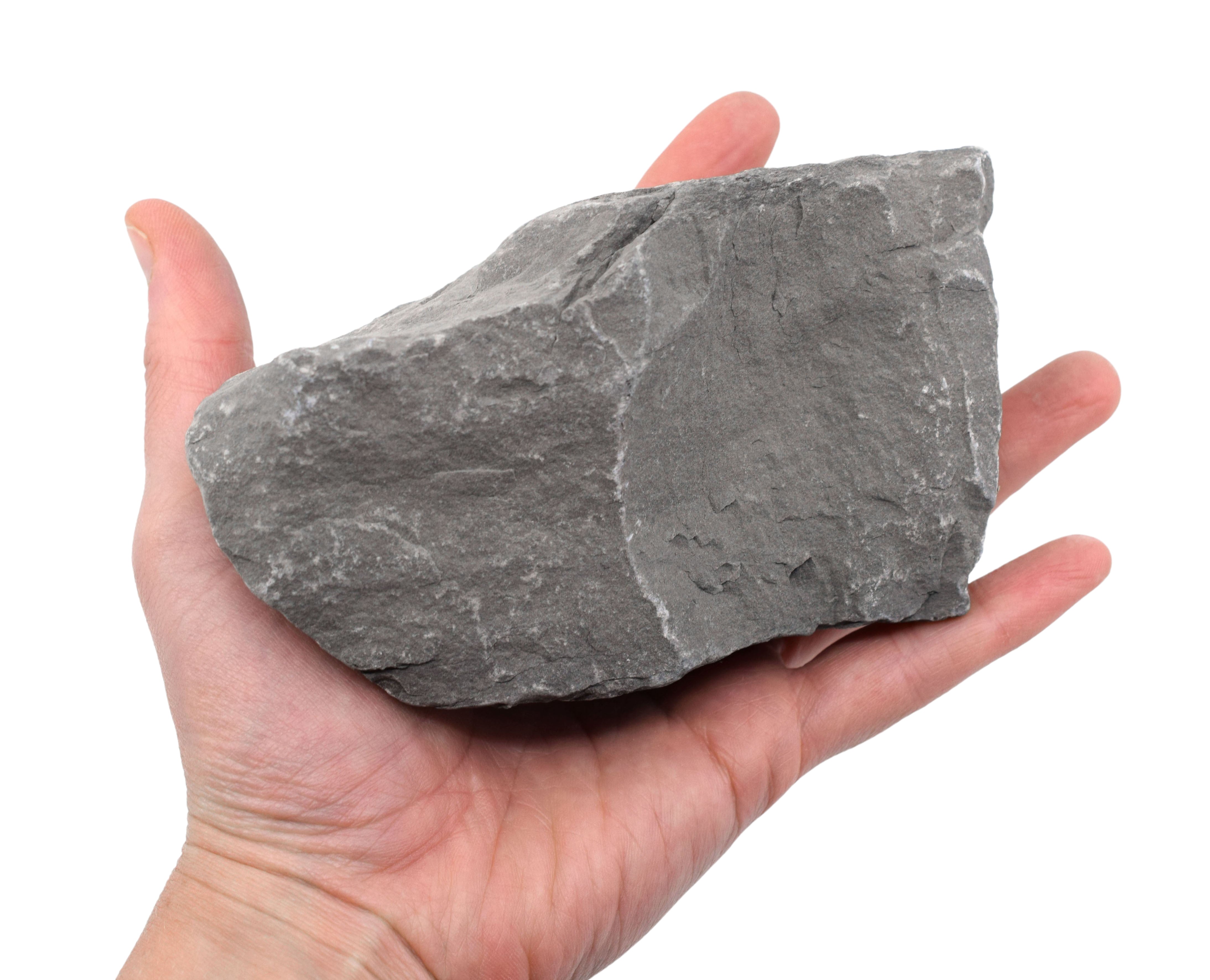 Raw Gray Limestone Sedimentary Rock Hand Sample, Approx 3 inch