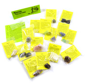 Premium 15-Piece Identified Mineral Collection with 4.5x Hand Lens