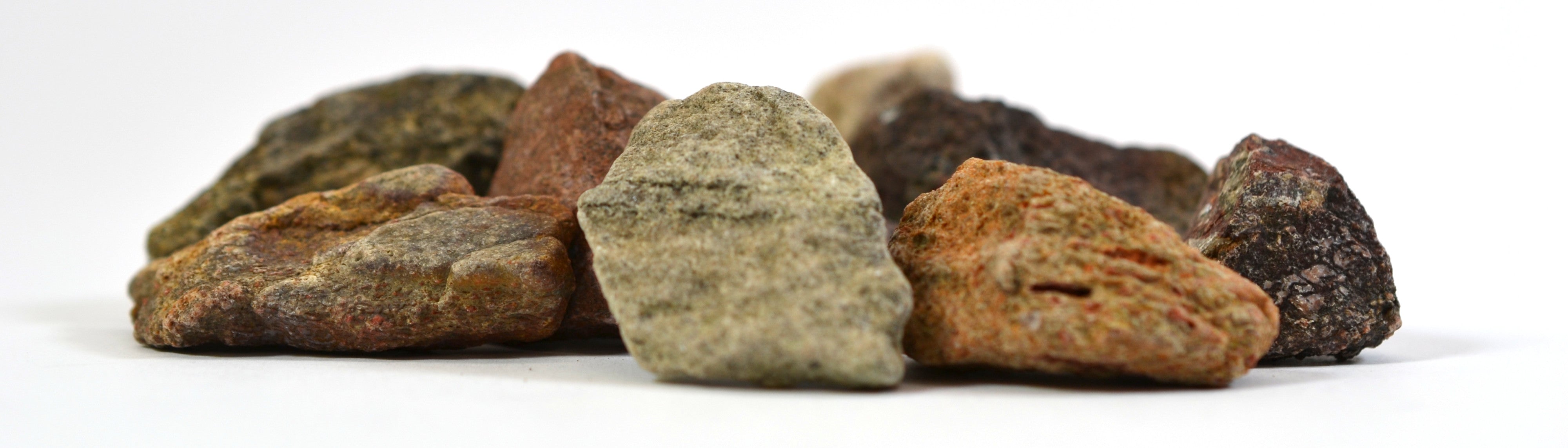 10-Pack Real Dinosaur Bone Piece Fossils, Approx 1 inch