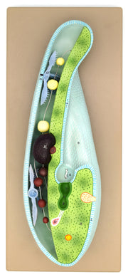 3D Paramecium Sectional Anatomical Model on Base with Removable Parts, 18 x 8 inch