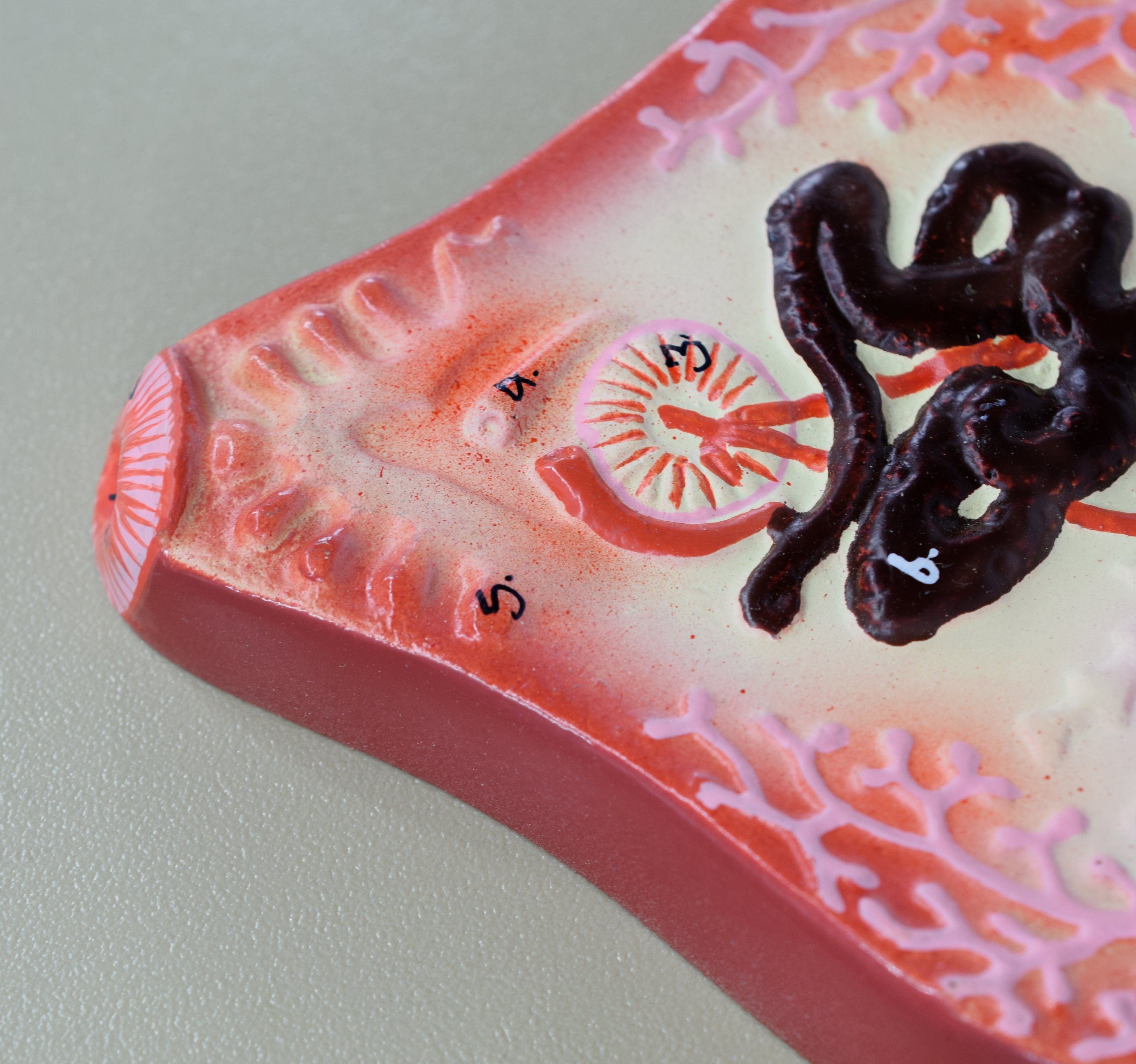Hand-Painted Liver Fluke Worm Anatomical Model with Numbered Structures, 10 x 7 inch