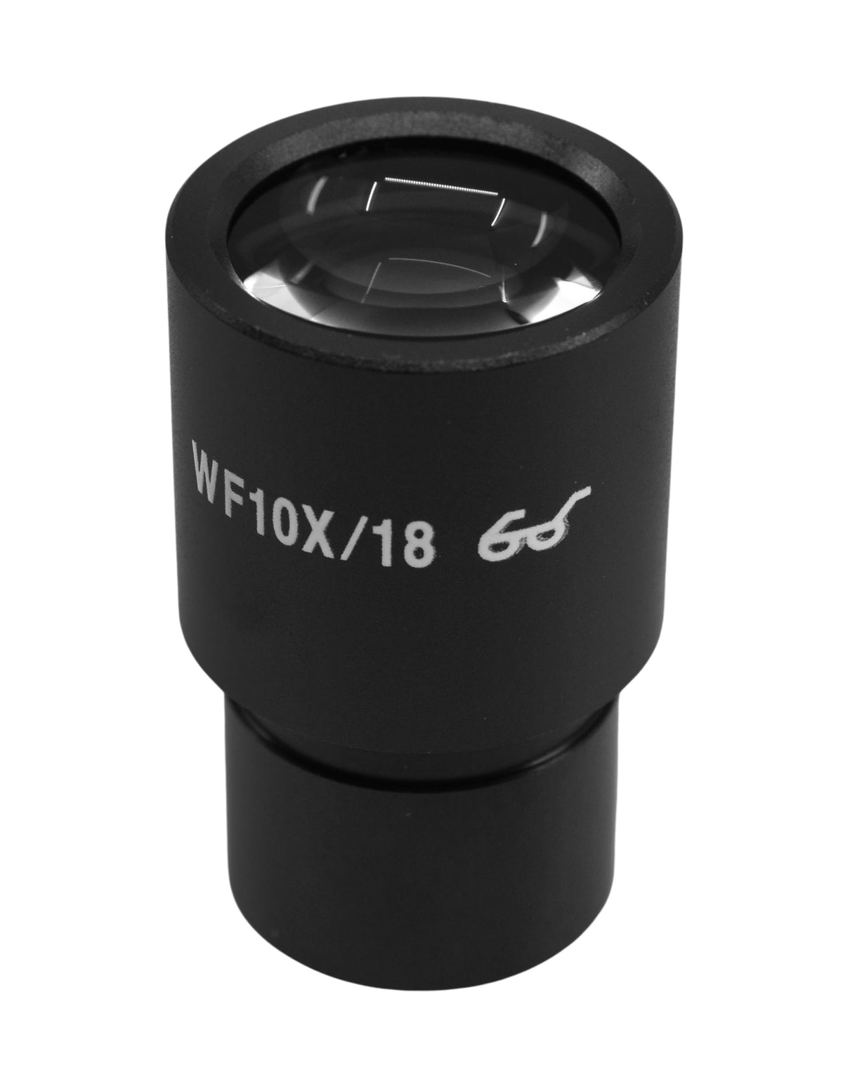 Wf10x Microscope WF10x Microscope Eyepiece for Accu-Scope Compound, 18mm FOV – The Lab ...