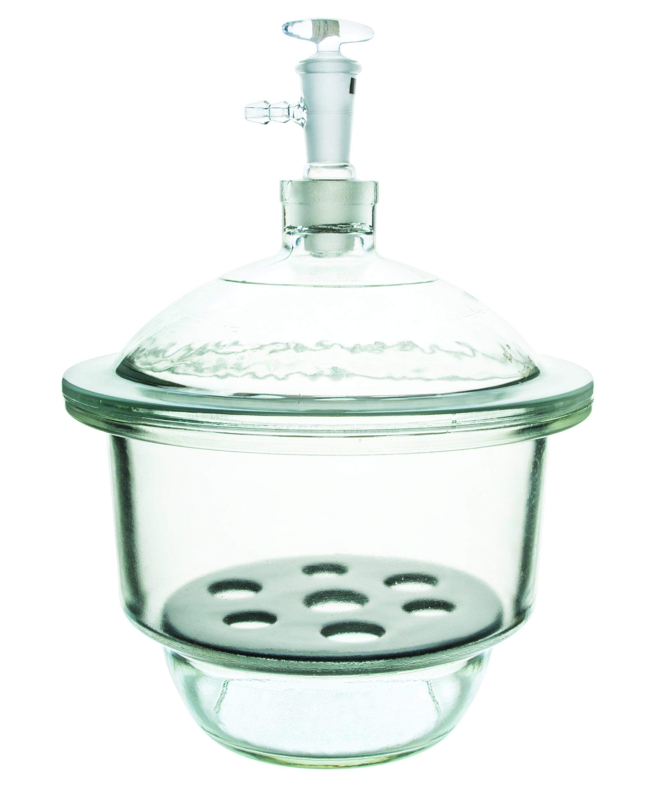 Borosilicate Glass Vacuum Desiccator with Stopcock