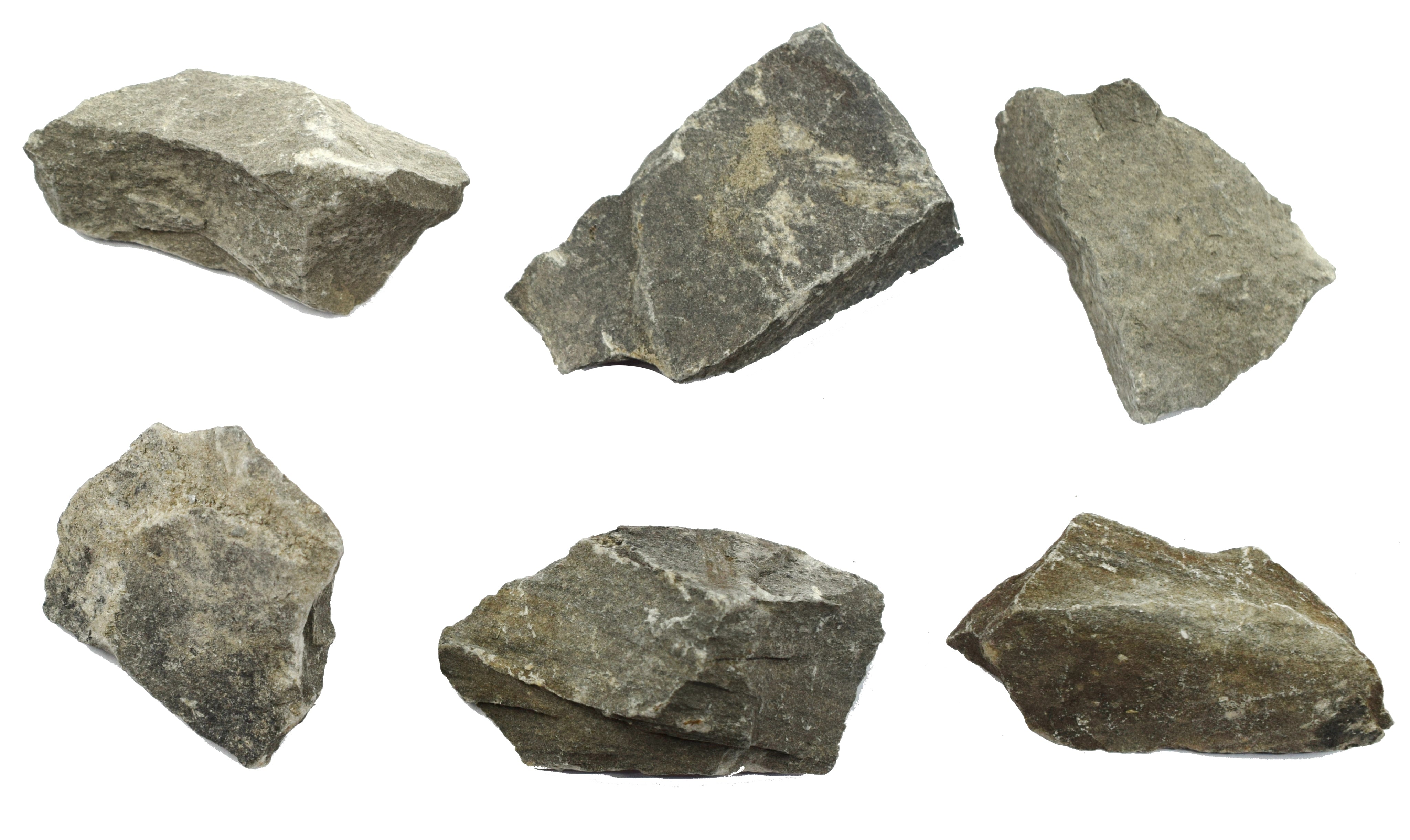 Argillaceous Shale Specimen