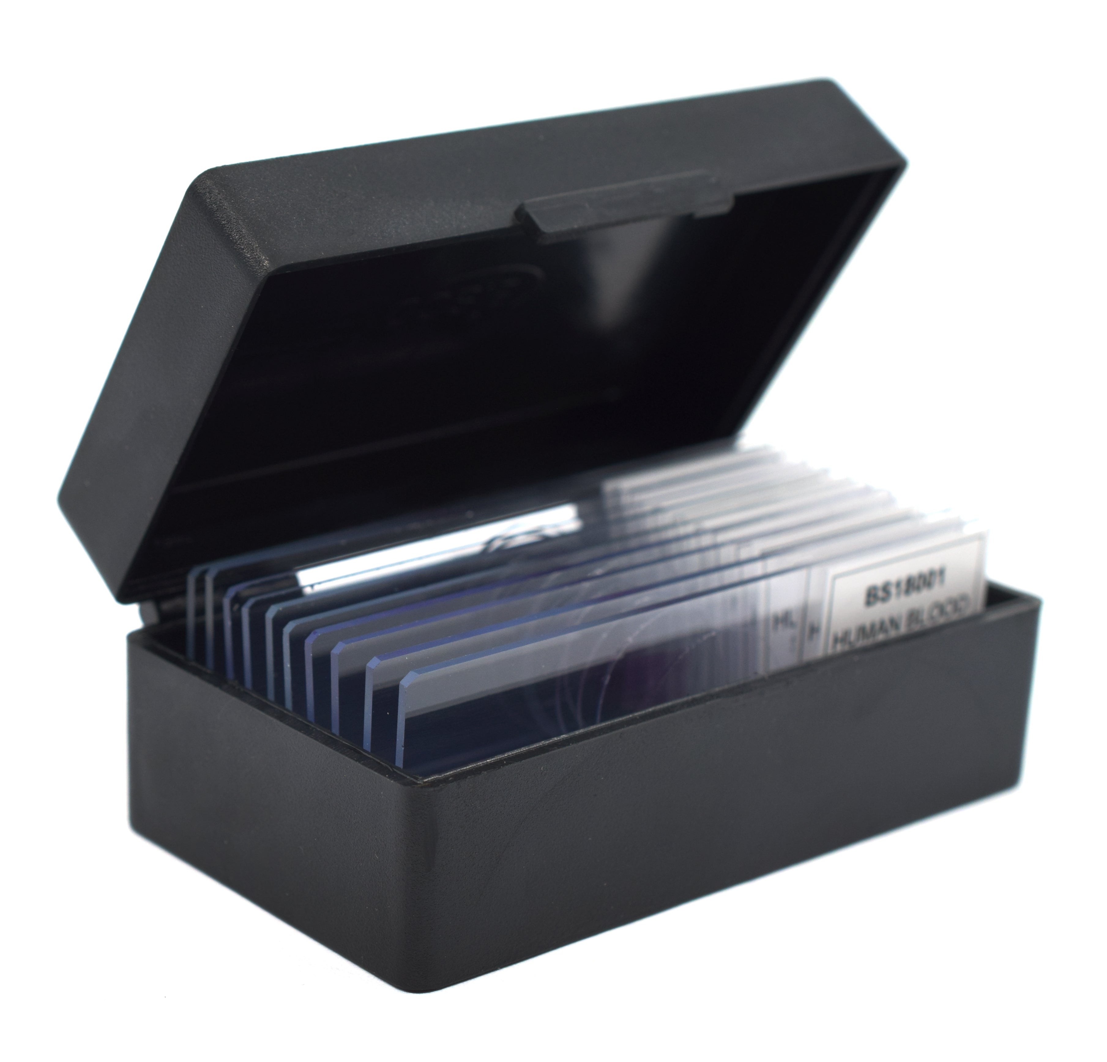 Esophagus Epithelium Cross-Section Prepared Microscope Slide