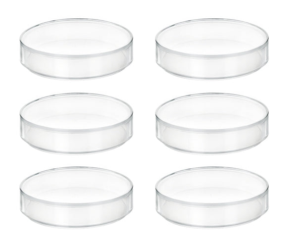 Translucent Polypropylene Petri Dish with Lid, 6-Pack