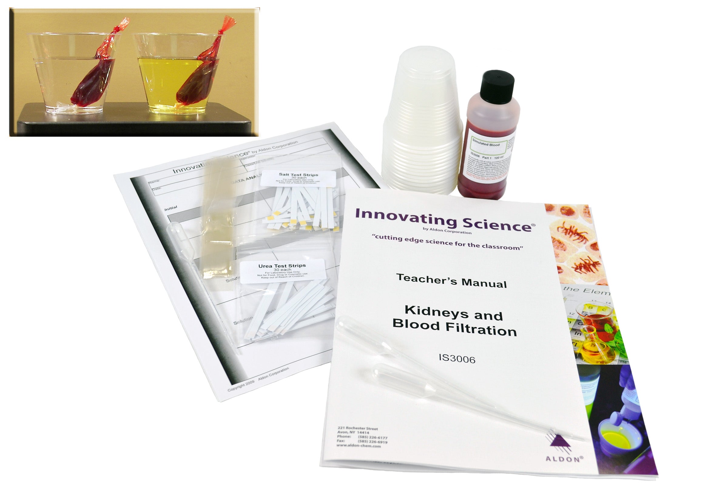 Kidneys and Blood Filtration Kit