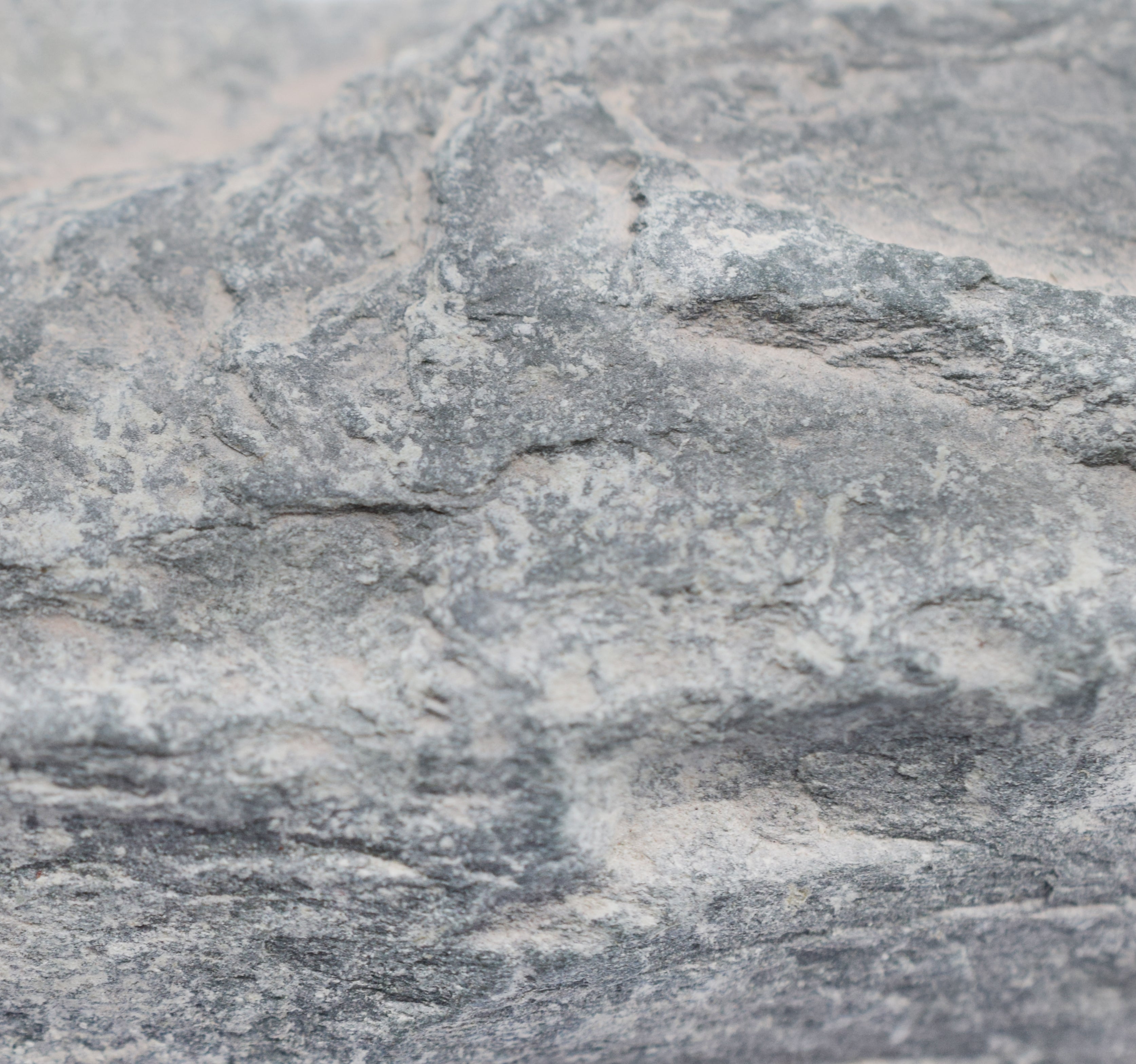 Raw Green Slate Metamorphic Rock Hand Sample, Approx 3 inch