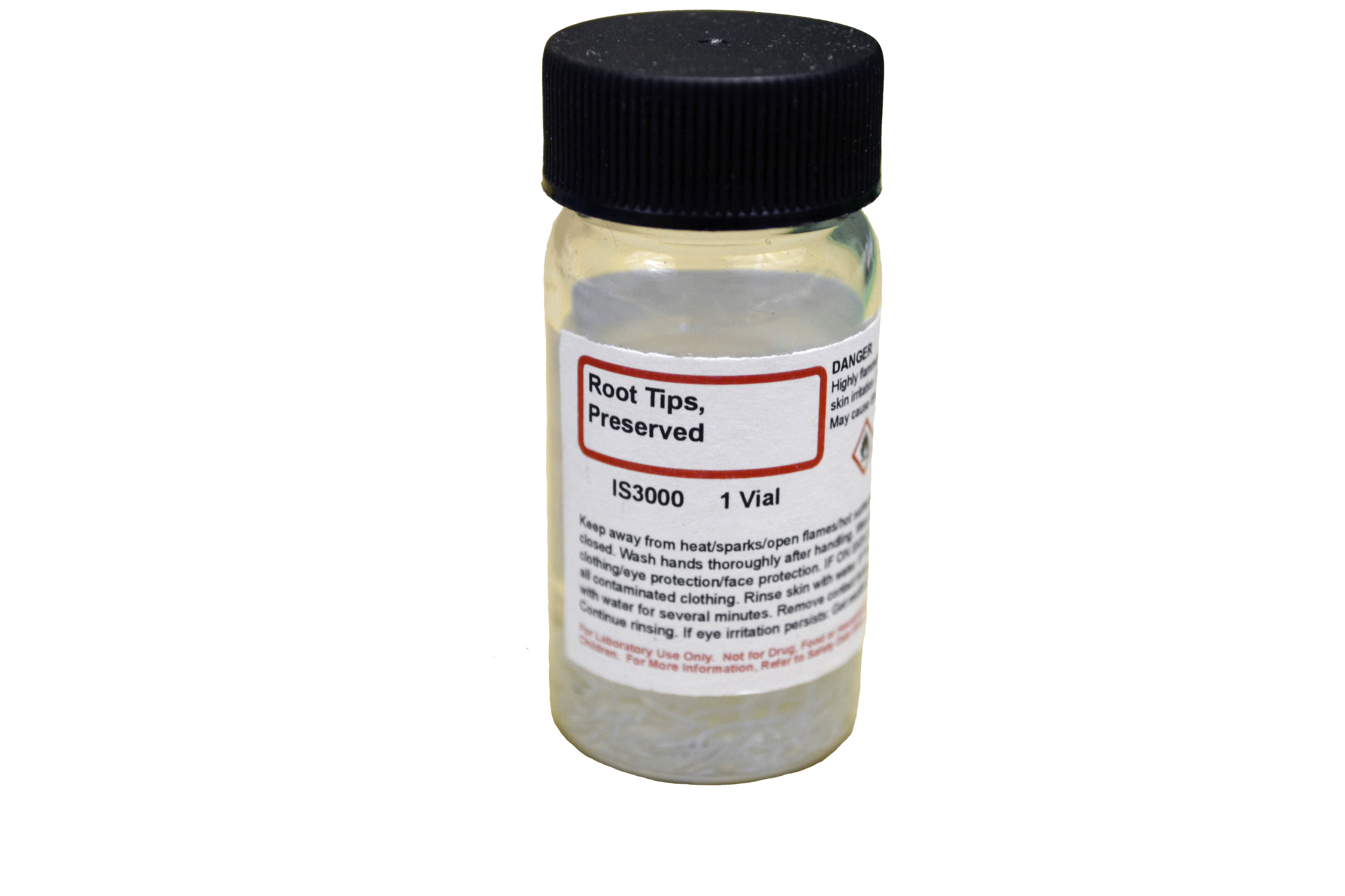 DNA and Chromosome Staining Lab Activity Kit