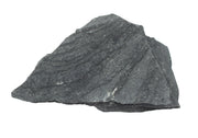 Slate Specimen