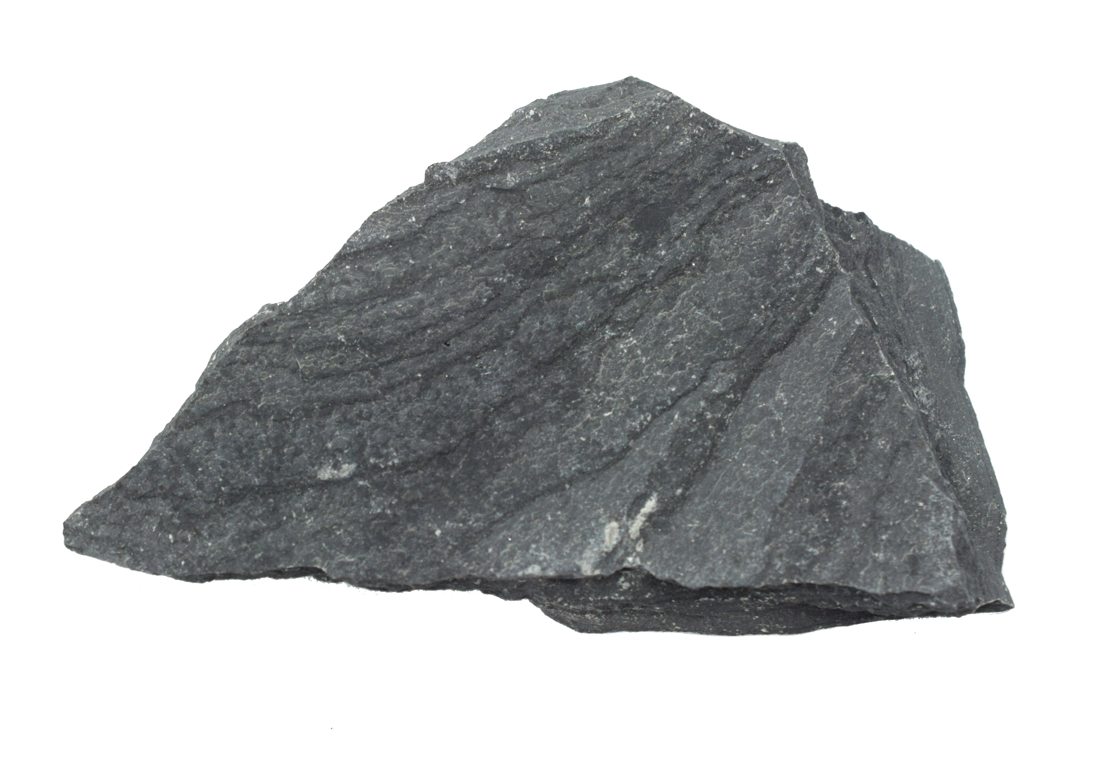 Slate Specimen