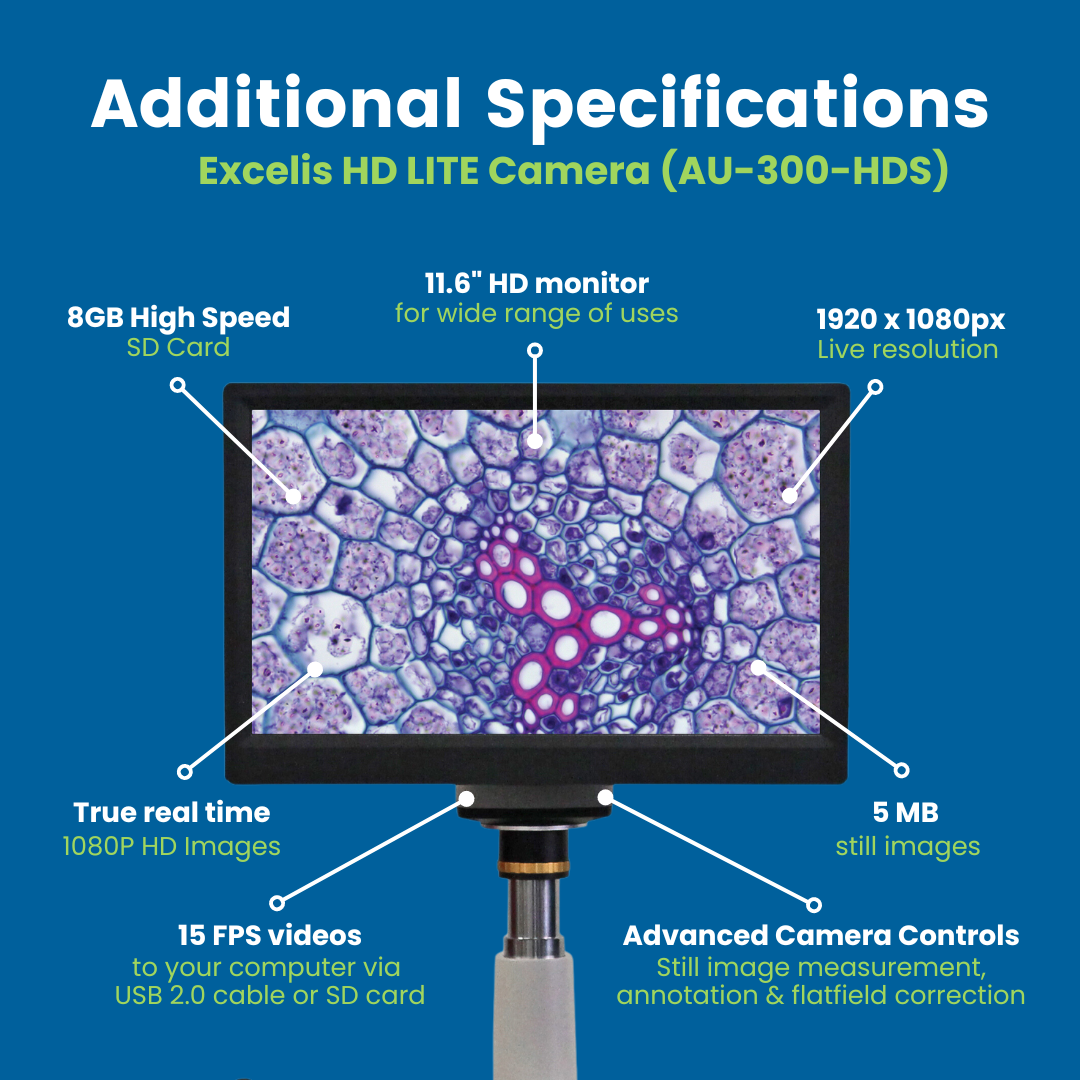 Accu-Scope Digital Compound Microscope with HD Camera and 11.6" LCD, EXC-123-HDS, 40-1000X