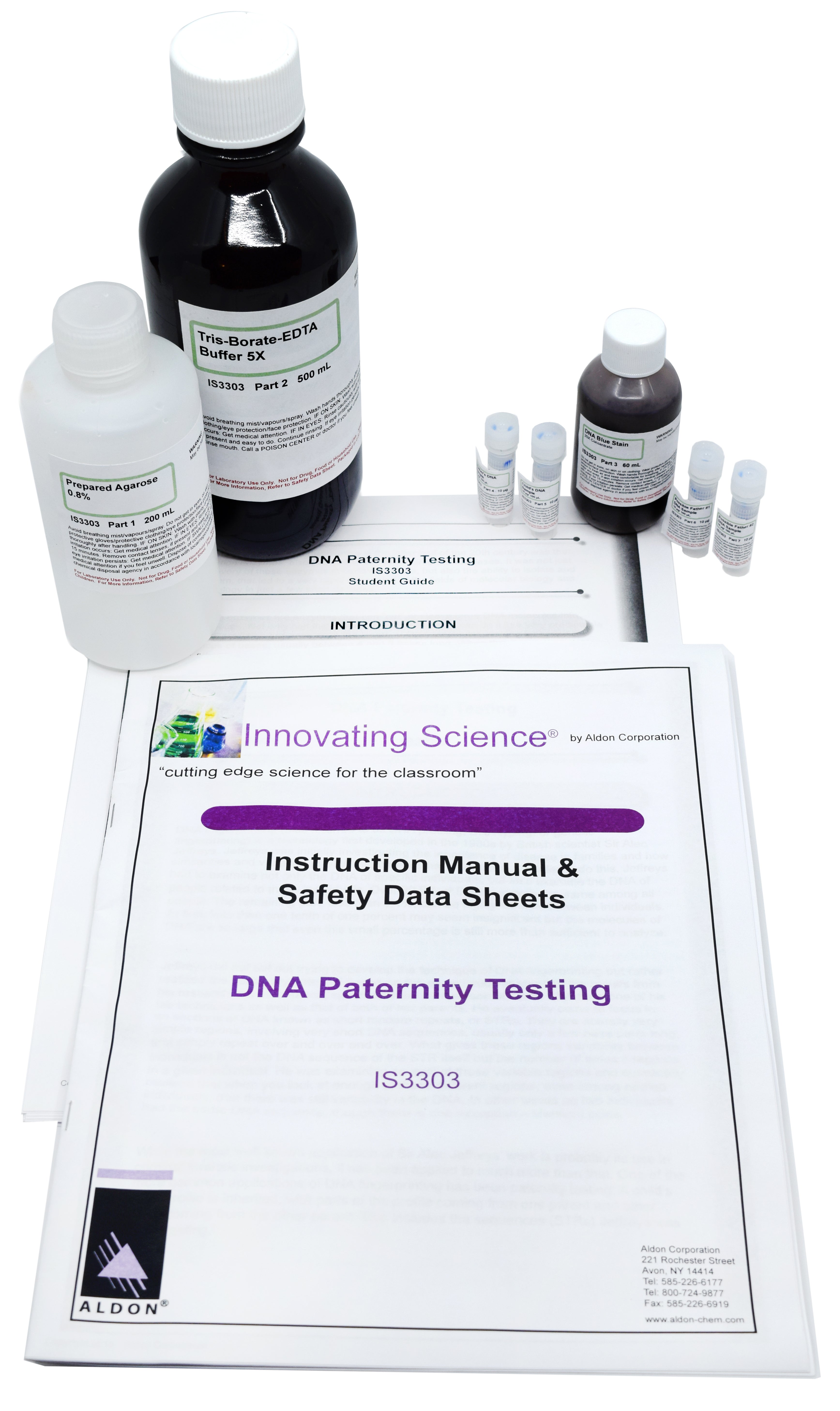 DNA Paternity Testing Electrophoresis Lab Kit for 8 Student Groups
