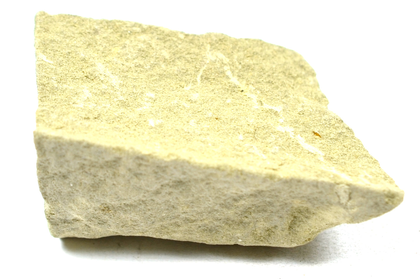 Siltstone Specimen