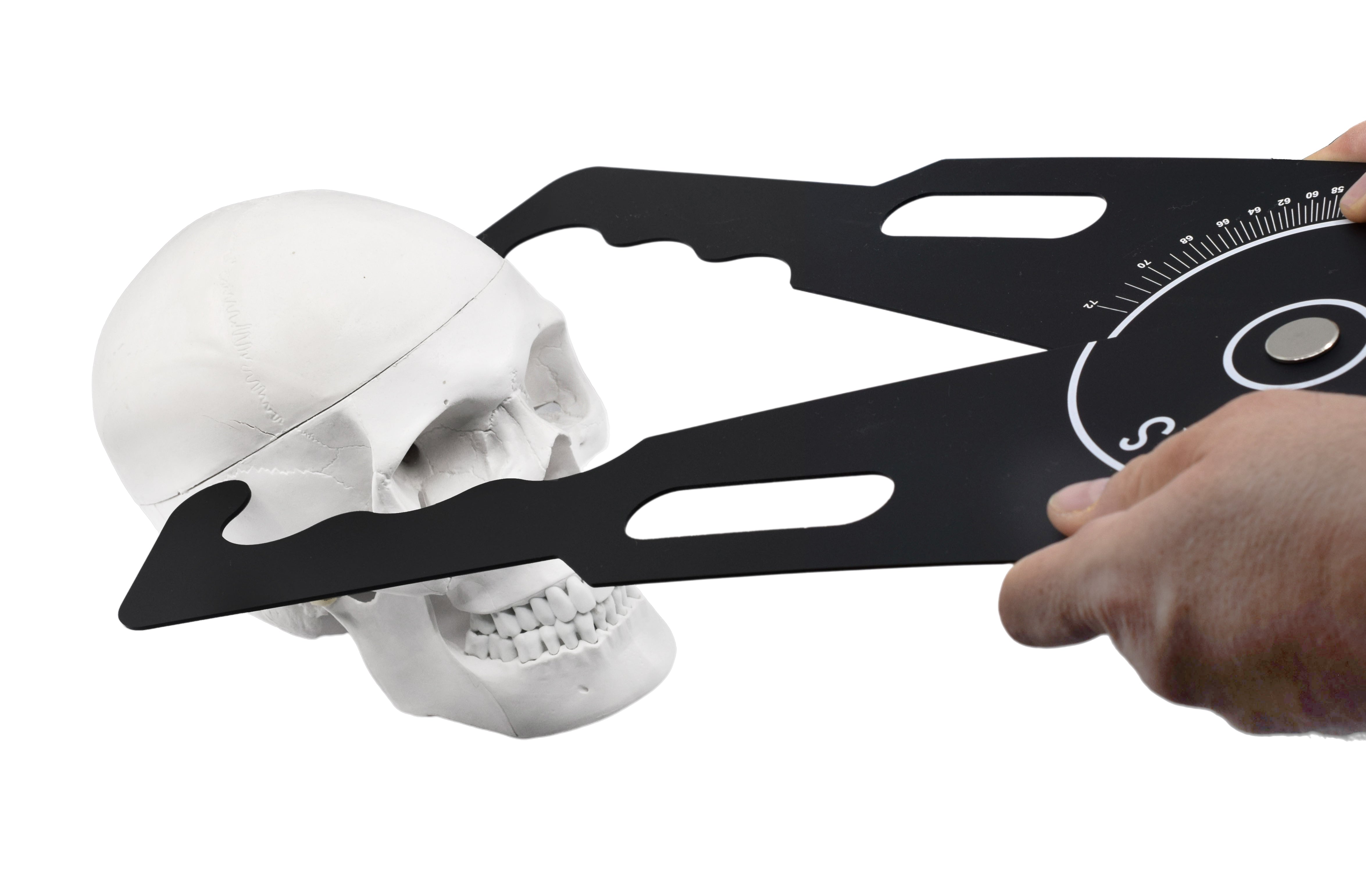 19" Giant Plastic Calipers, 0-72cm Scale