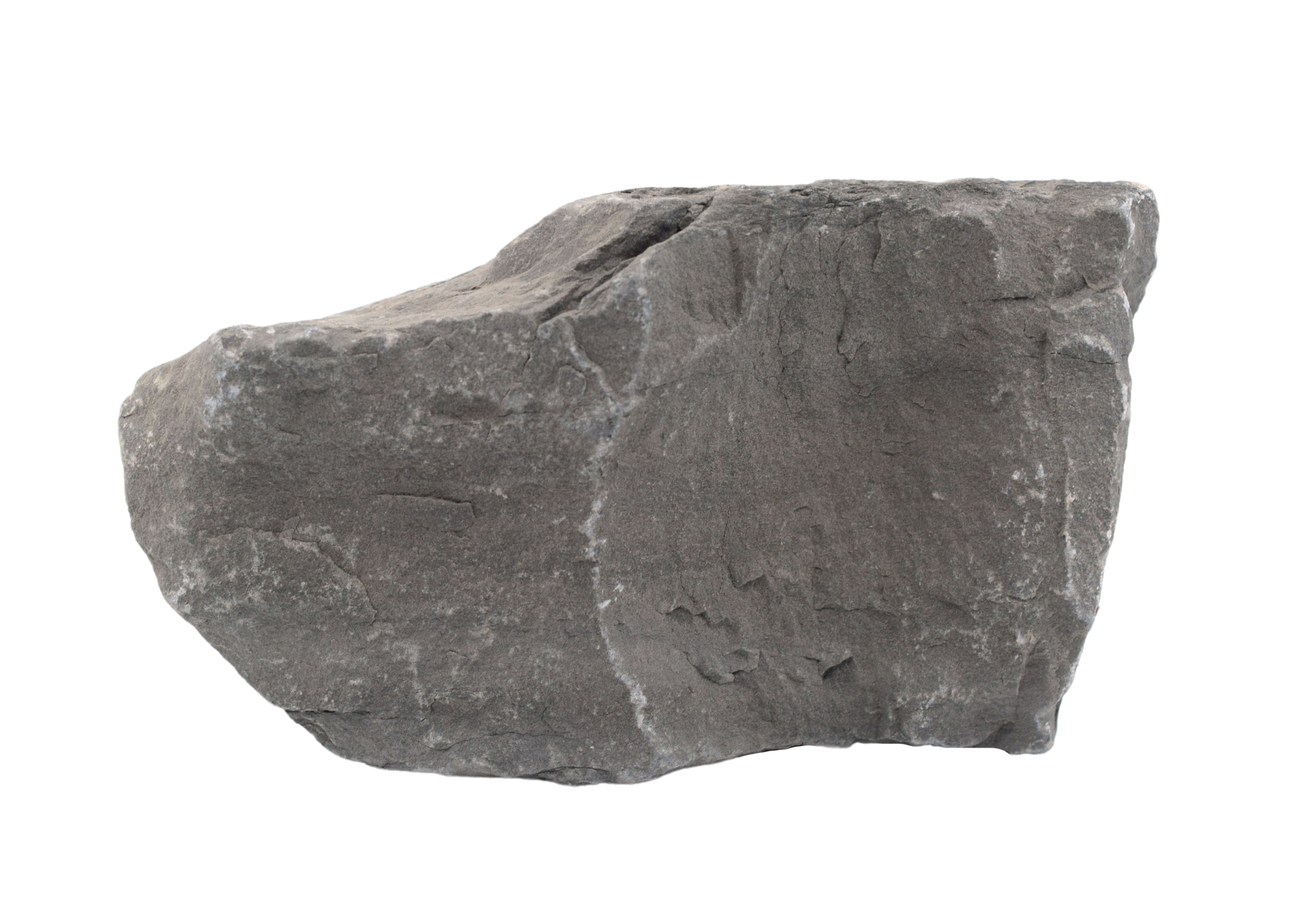 Raw Gray Limestone Sedimentary Rock Hand Sample, Approx 3 inch