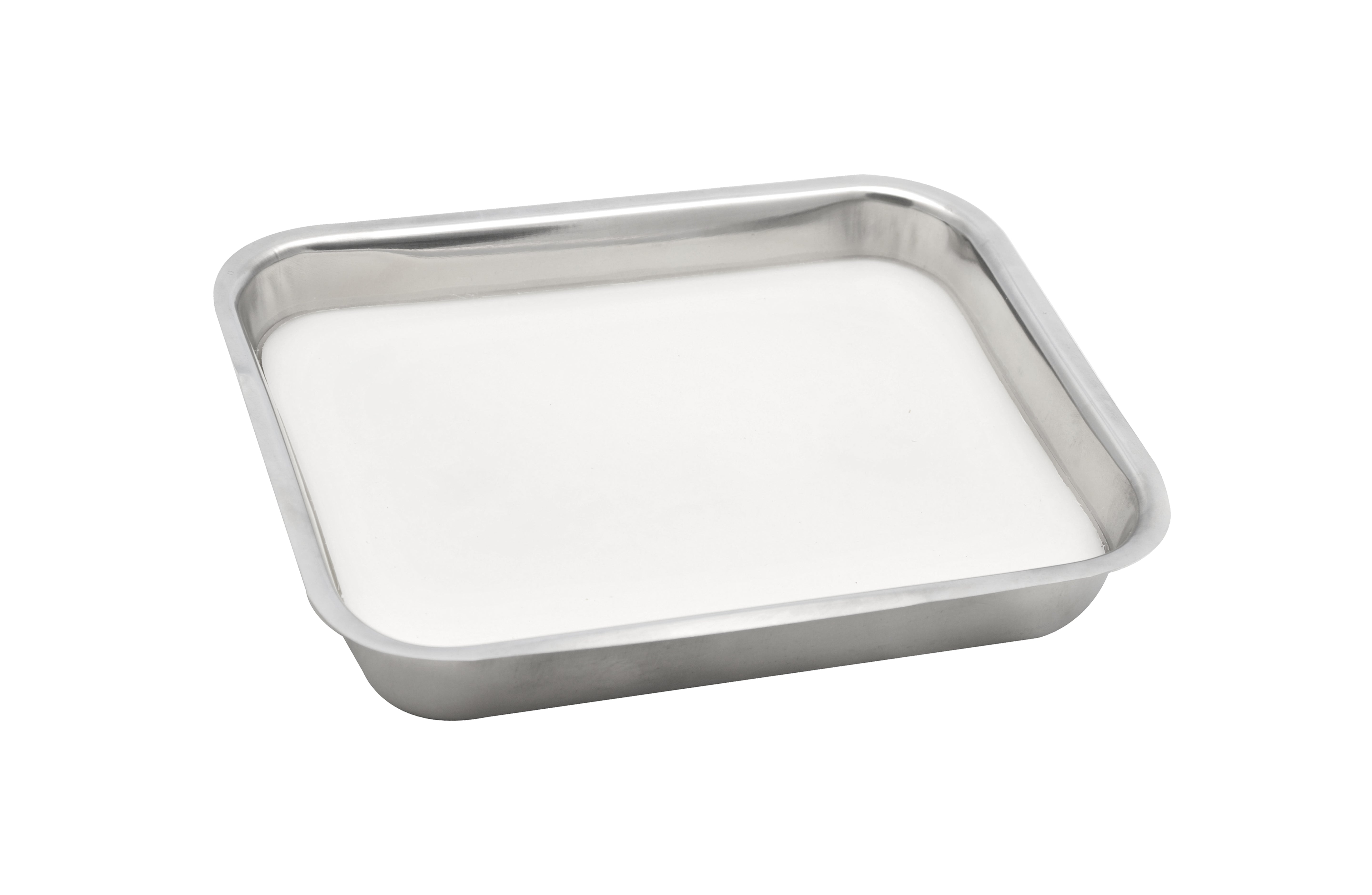 Stainless Steel Dissection Tray with Wax Liner