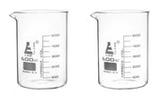 2-Pack Borosilicate Glass Beaker Pint Glasses with Pouring Spout, 20oz/600mL