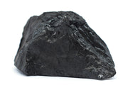 Bituminous Coal Specimen
