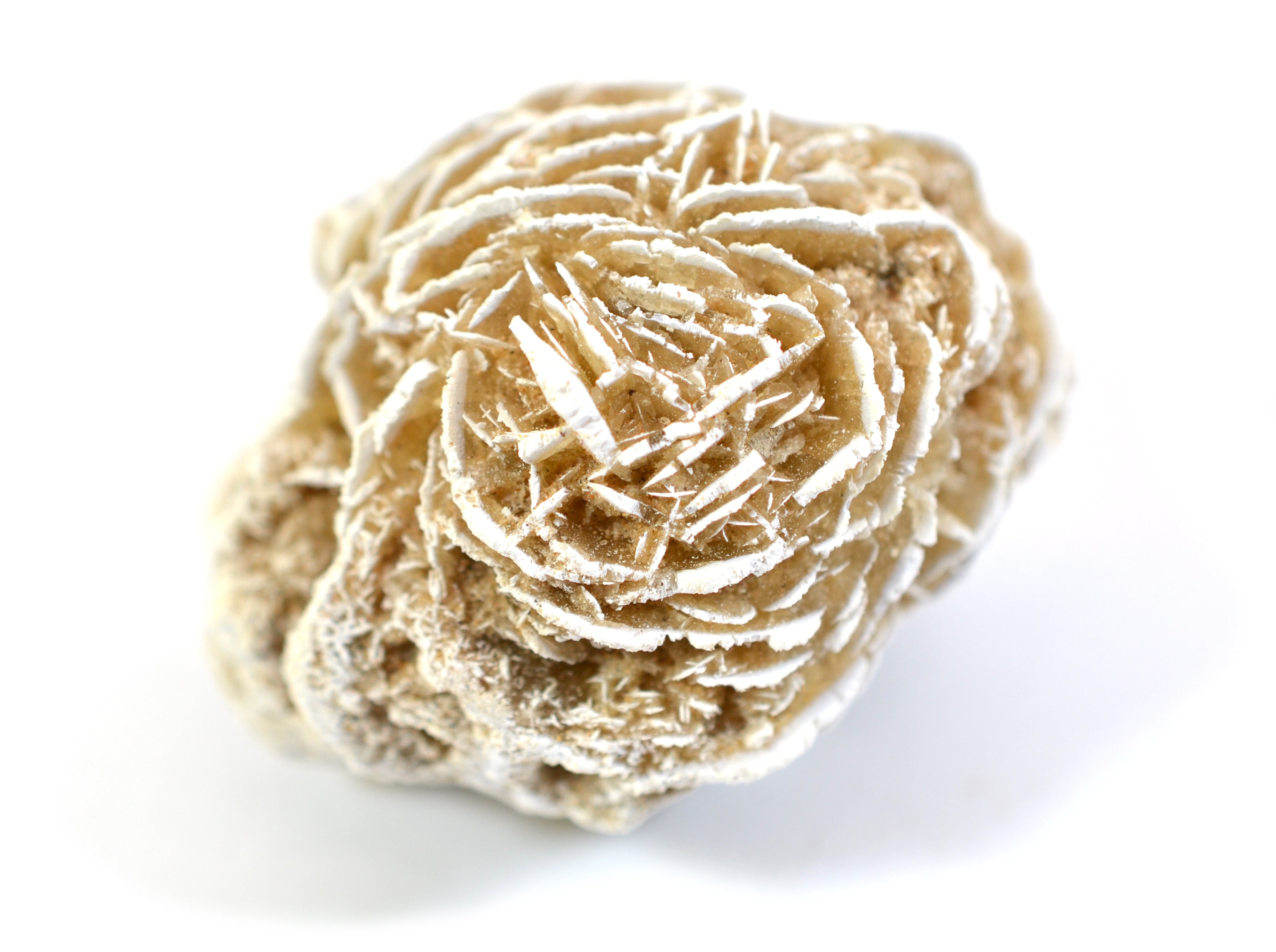Selenite Desert Rose Specimen, 2 inch