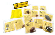 12-Piece Deluxe Fossil Collection with Information Cards