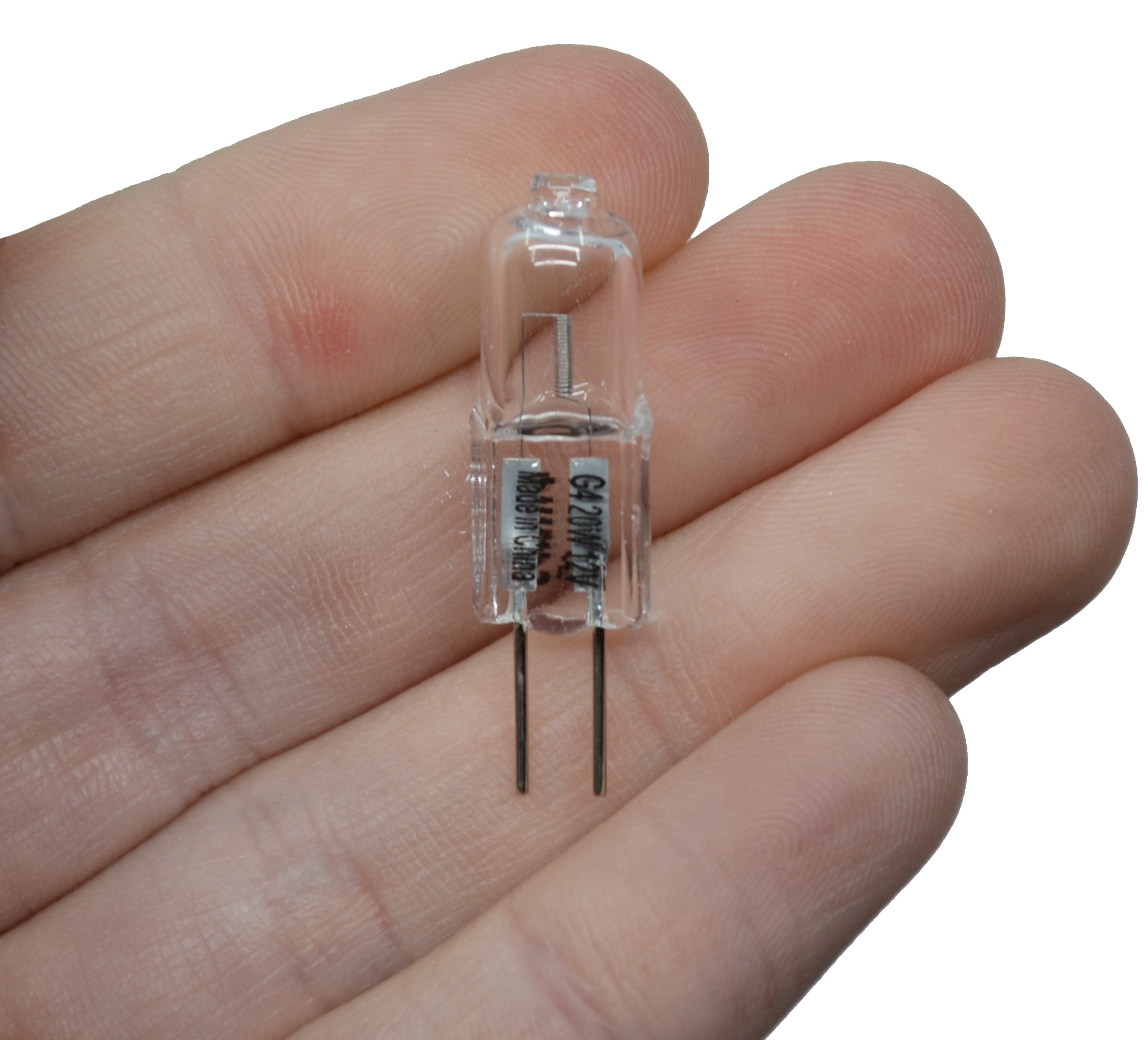 Halogen 12V Replacement Bulb for Ray Box