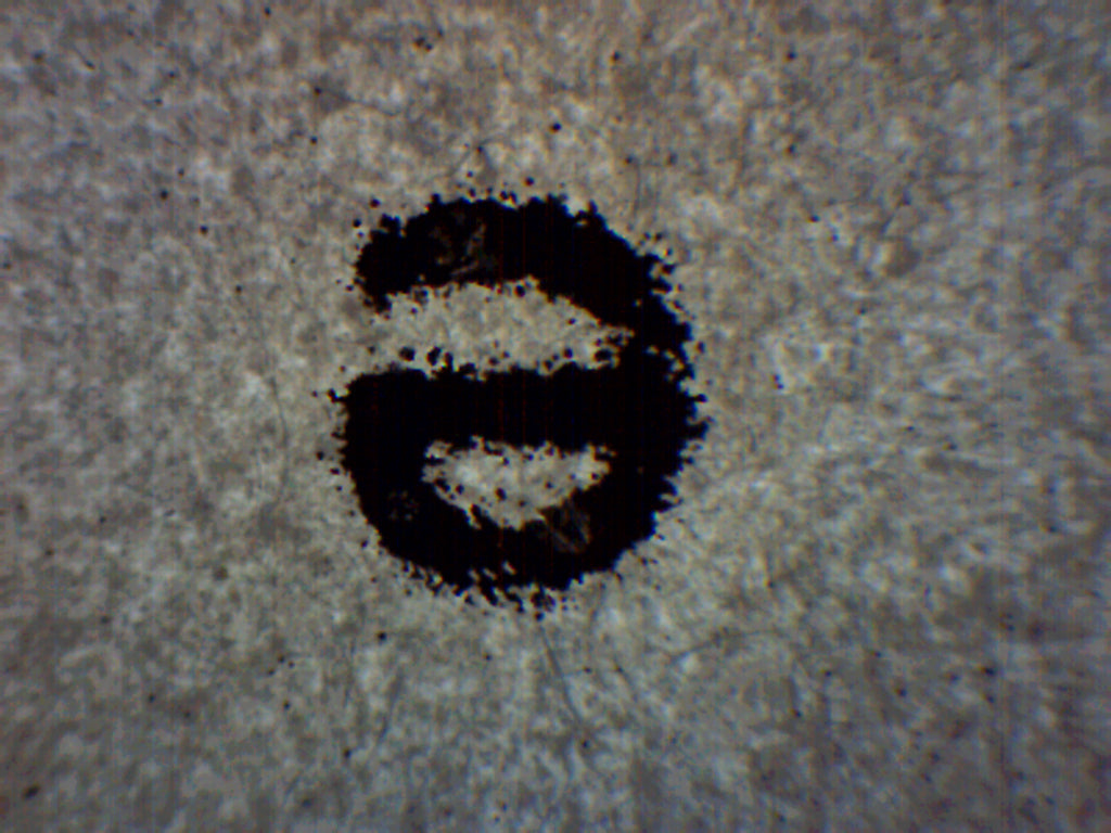 Letter 'e' Prepared Microscope Slide for Introductory Microscopy
