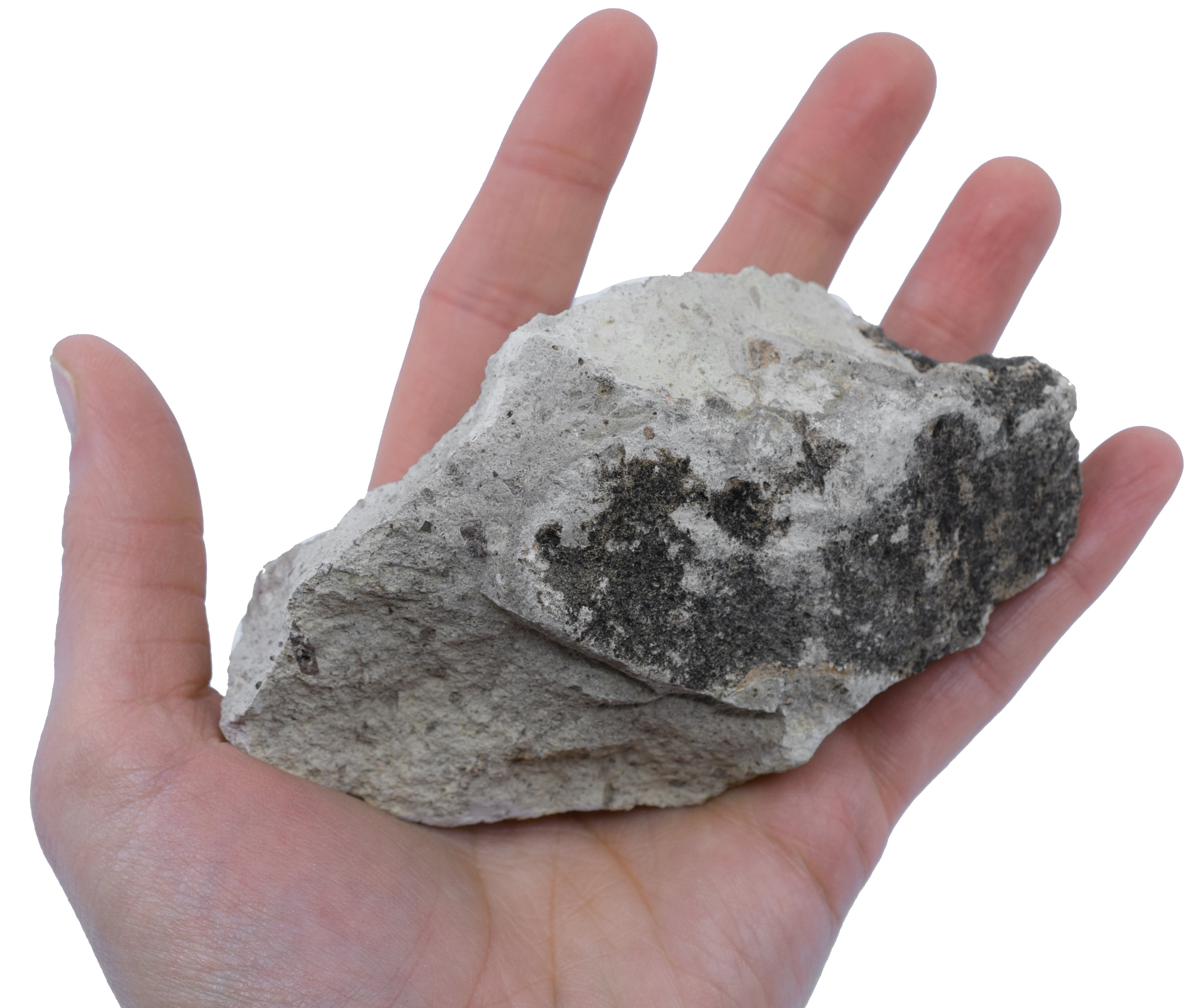 Raw Volcanic Tuff Igneous Rock Hand Sample, Approx 3 inch