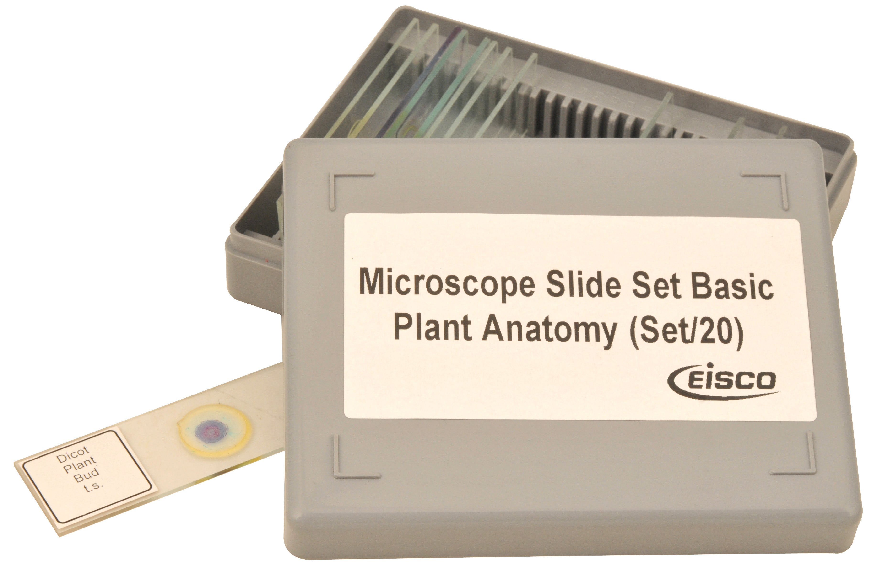Plant Anatomy Microscope Slide Set with Storage Box, 20-Piece