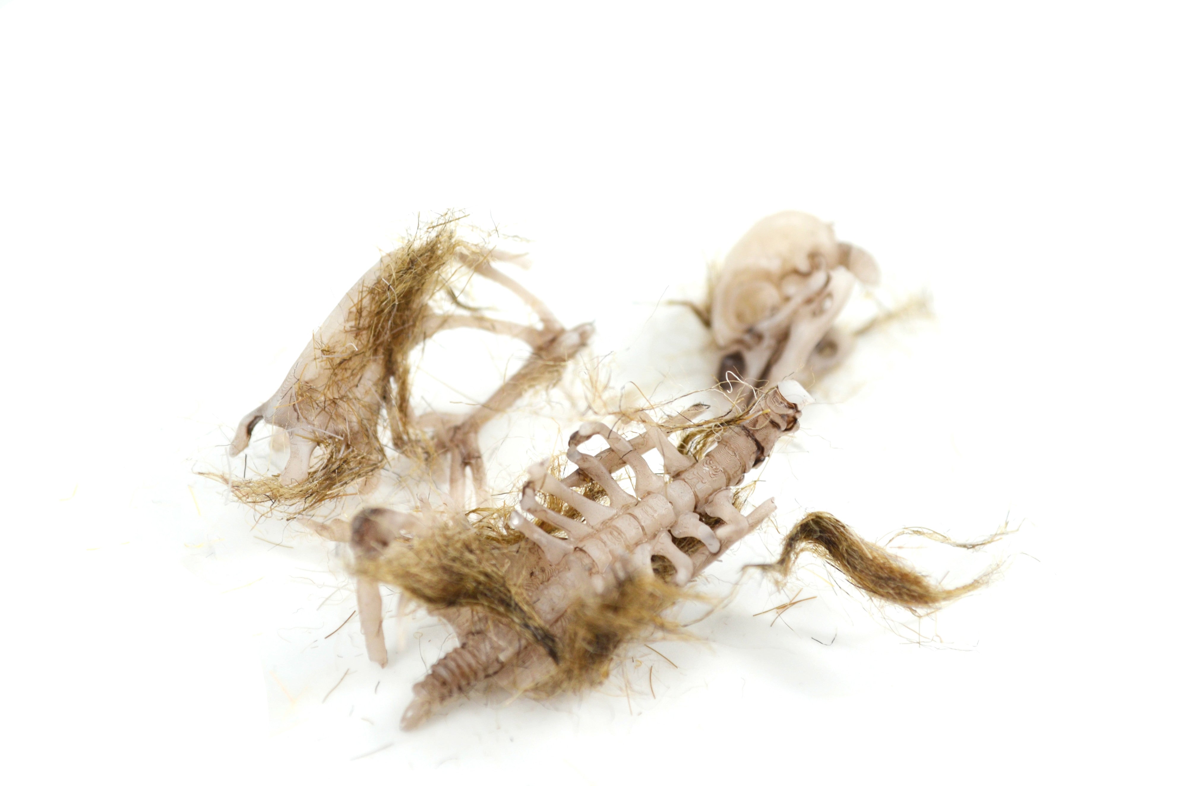 Simulated Owl Pellet with Bird, 3 x 2 inch
