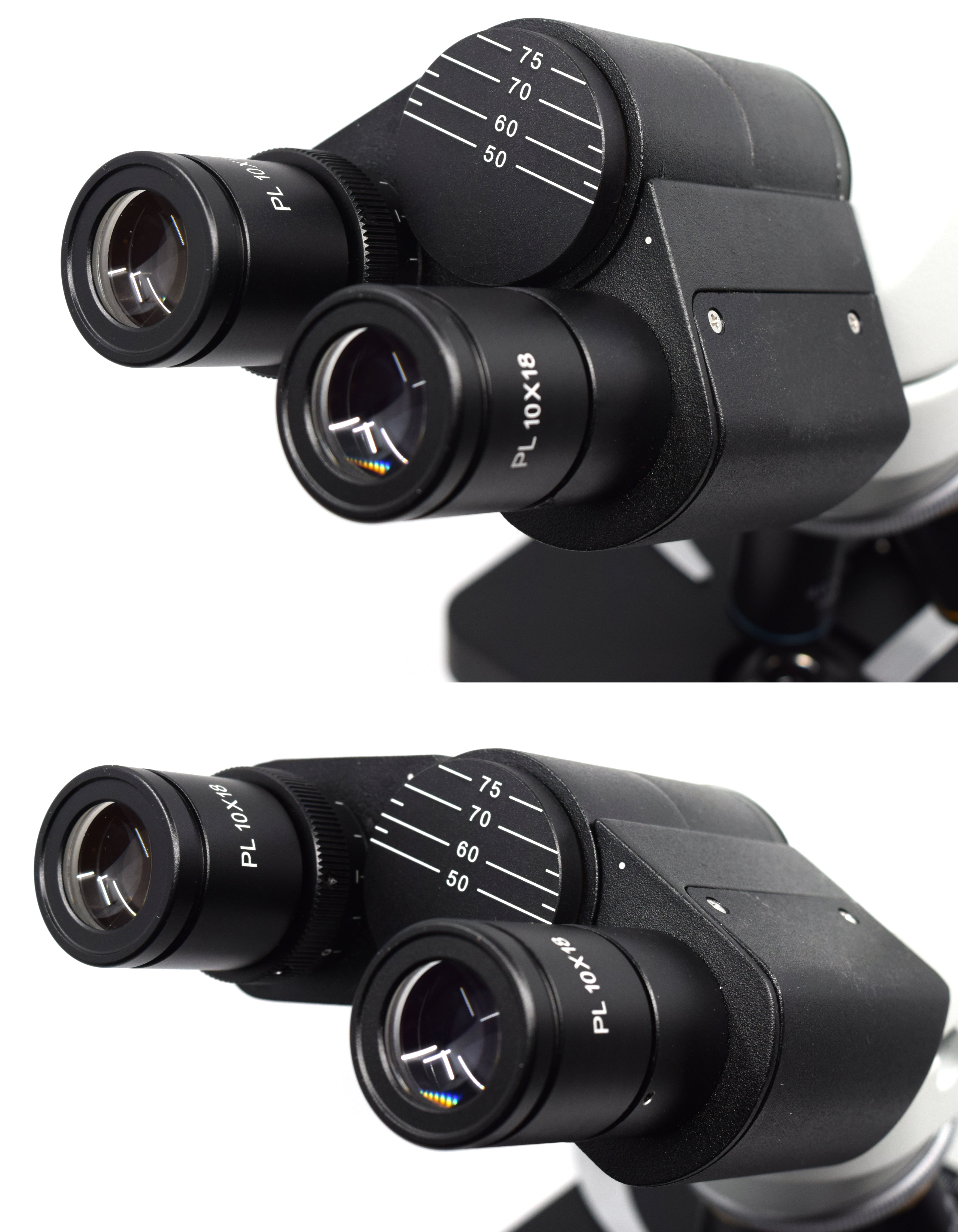Premium Binocular Microscope with Siedentopf Head, 4X-100X with Color Corrected Optics