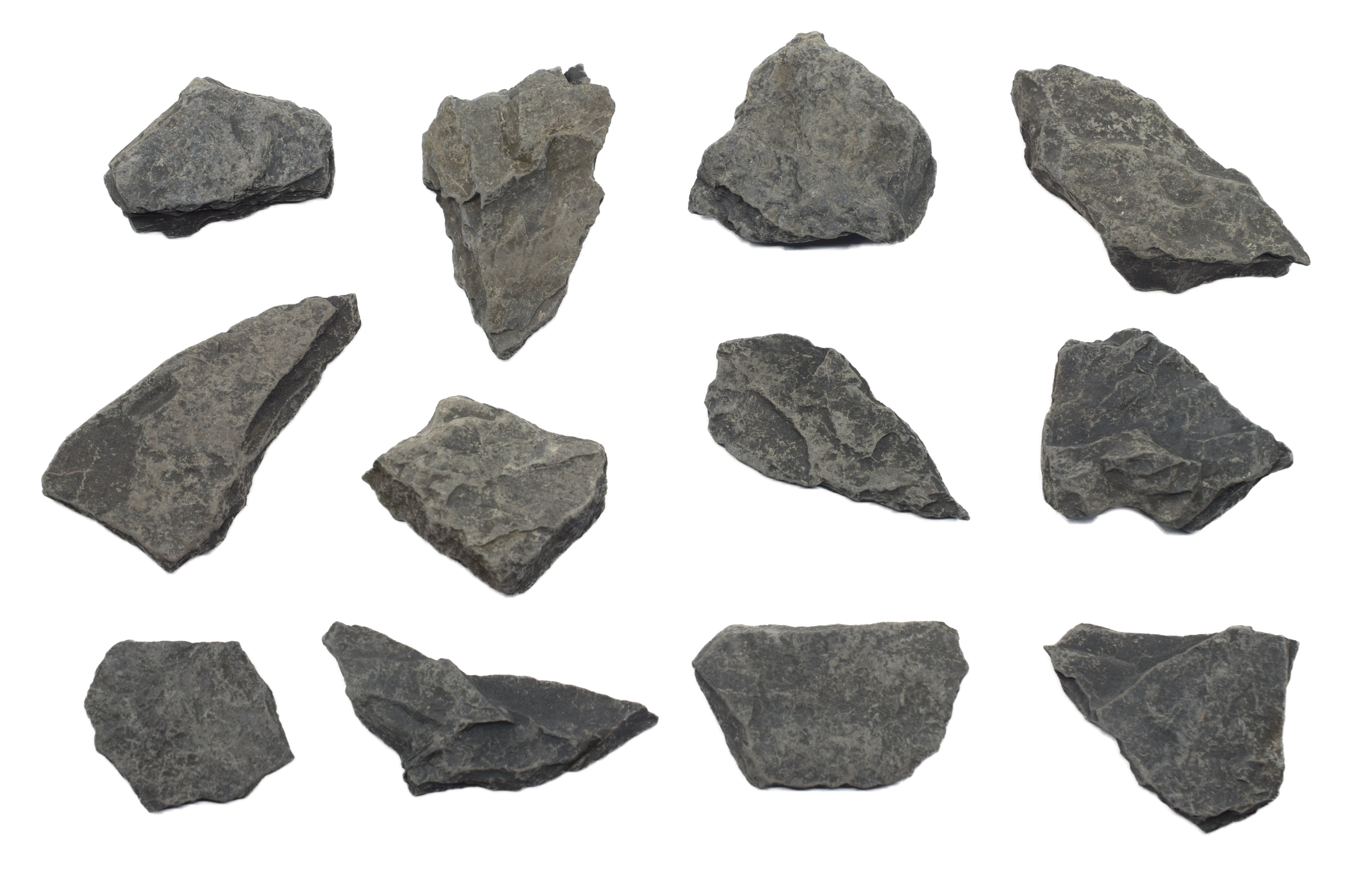 Carbonaceous Shale Specimen