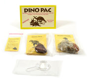 Rare Dinosaur Fossil Collection Pack