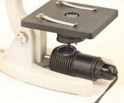 Detachable Microscope Lamp, 220V