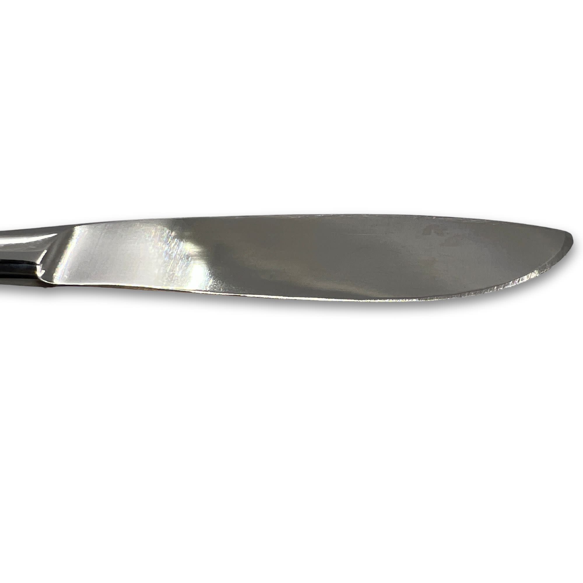 Stainless Steel Dissecting Scalpel, 6"