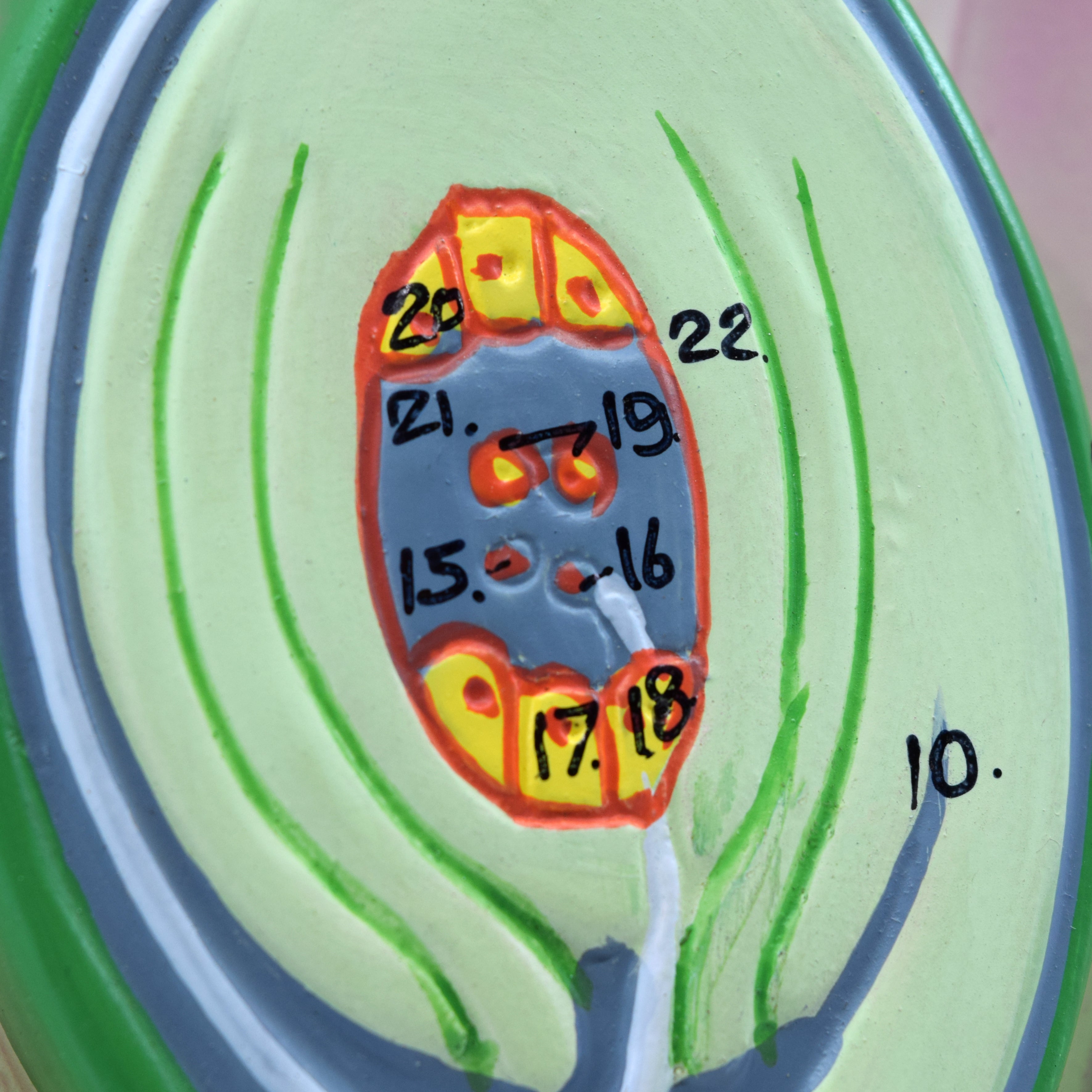 3D Typical Flower Vertical Section Model, 14 x 9", Hand-Painted