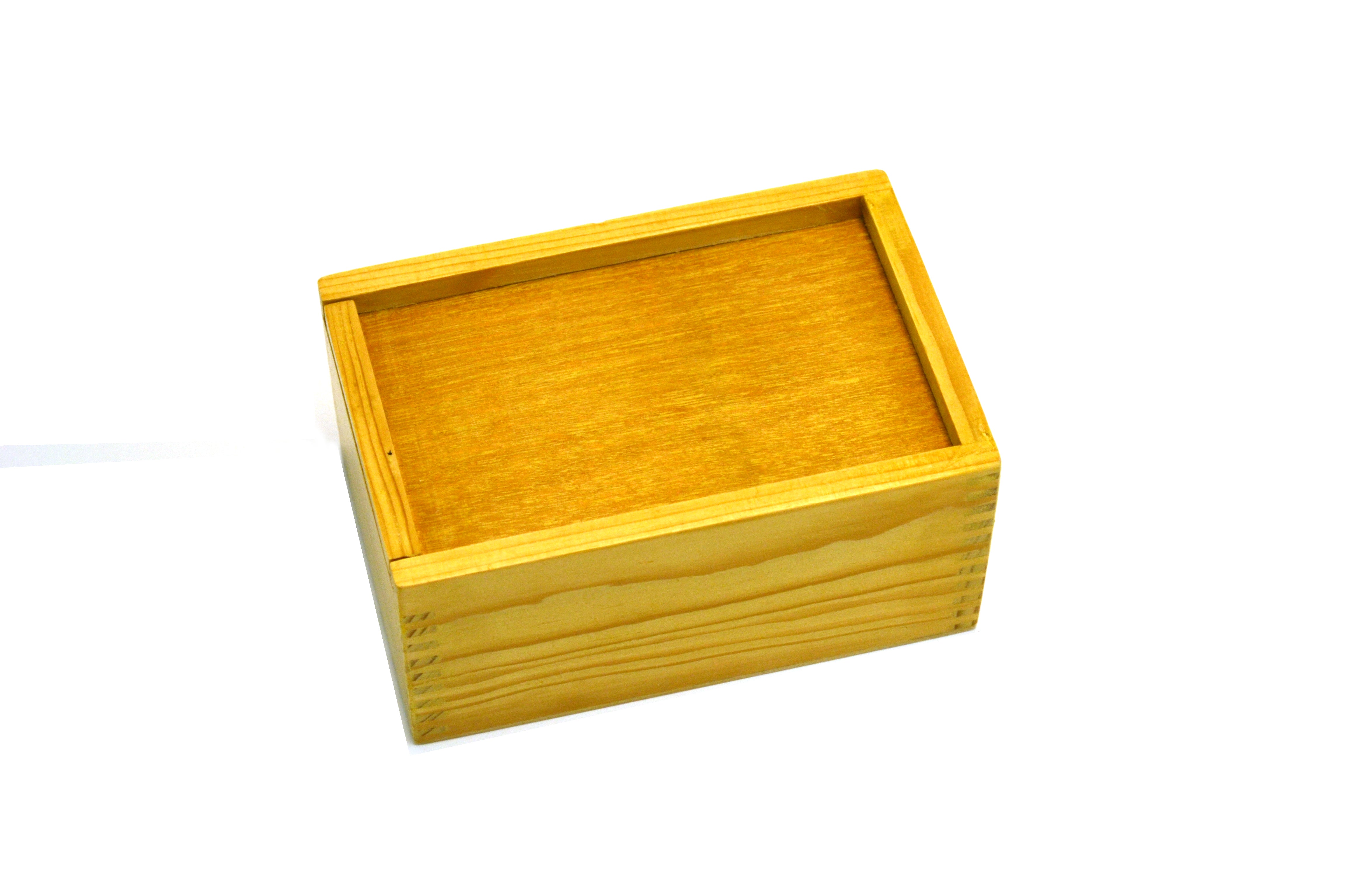 16-Piece Wooden Geometric Shapes Set with Storage Case