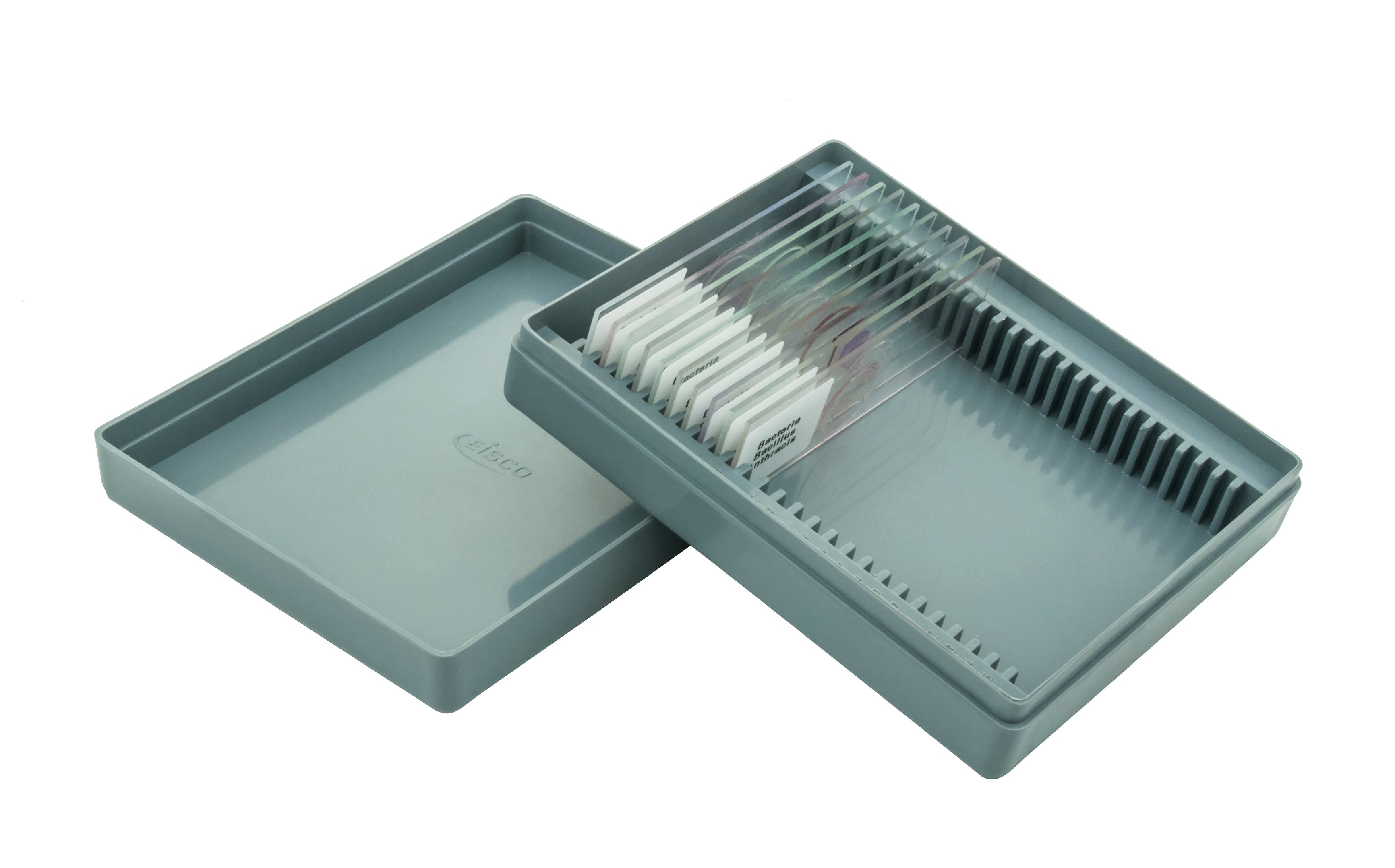 Basic Morphology No. XII Microscope Slide Set