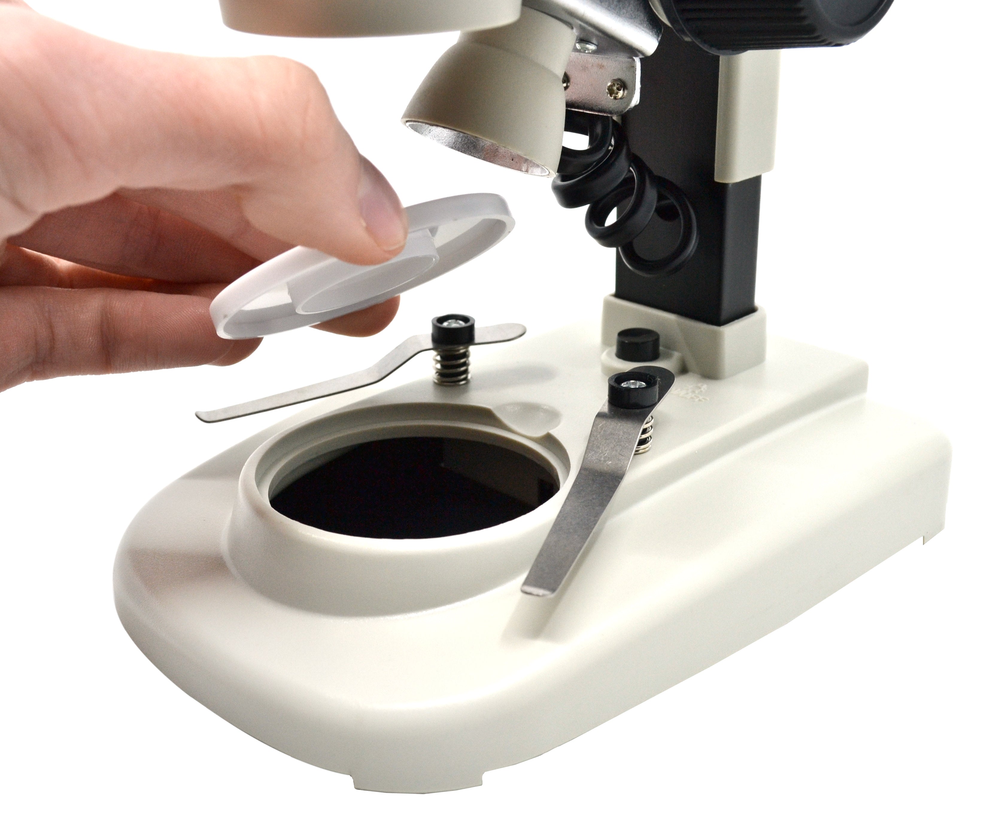 Starter Inclined Stereo Microscope, 20X with Cordless LED