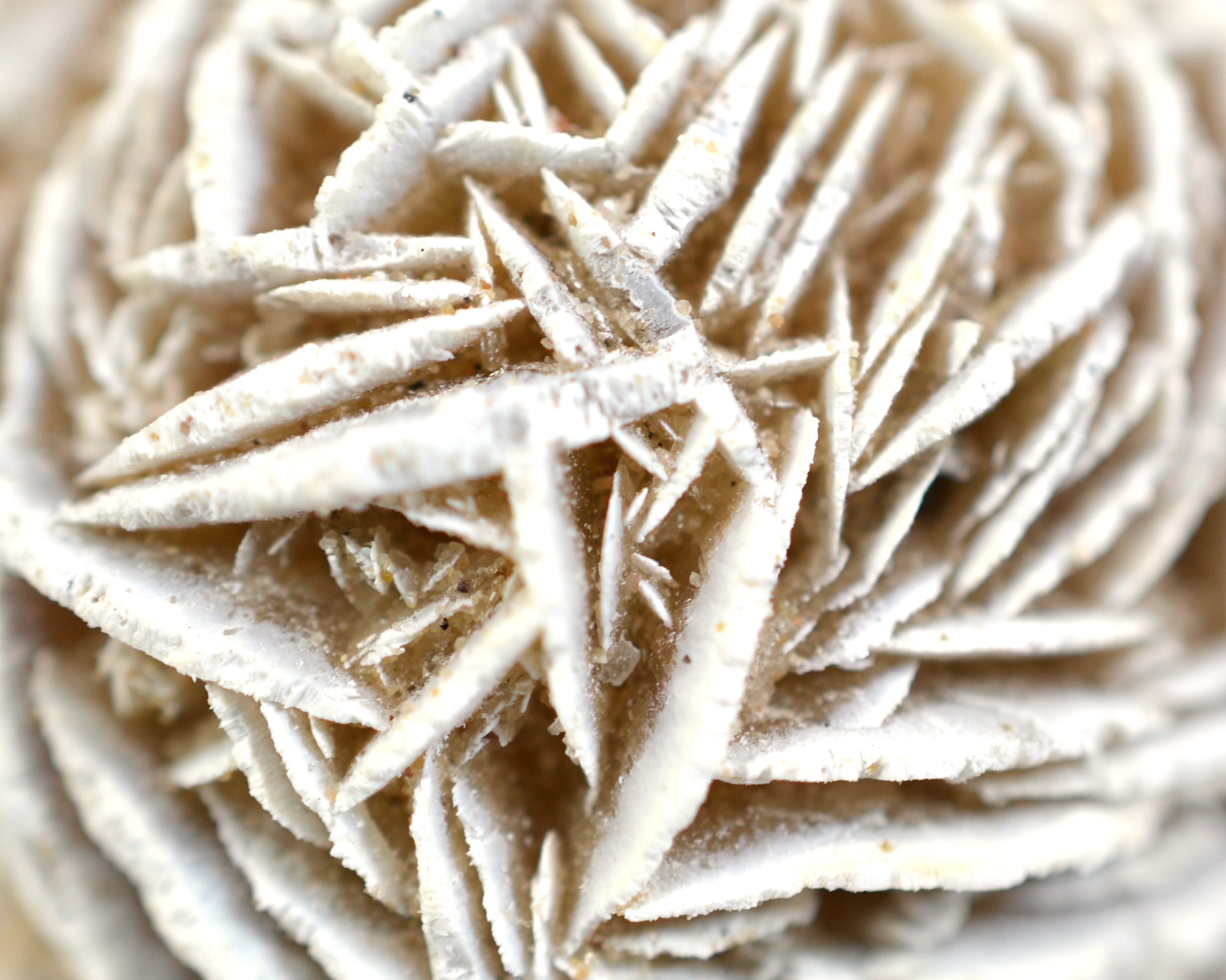 Selenite Desert Rose Specimen, 2 inch