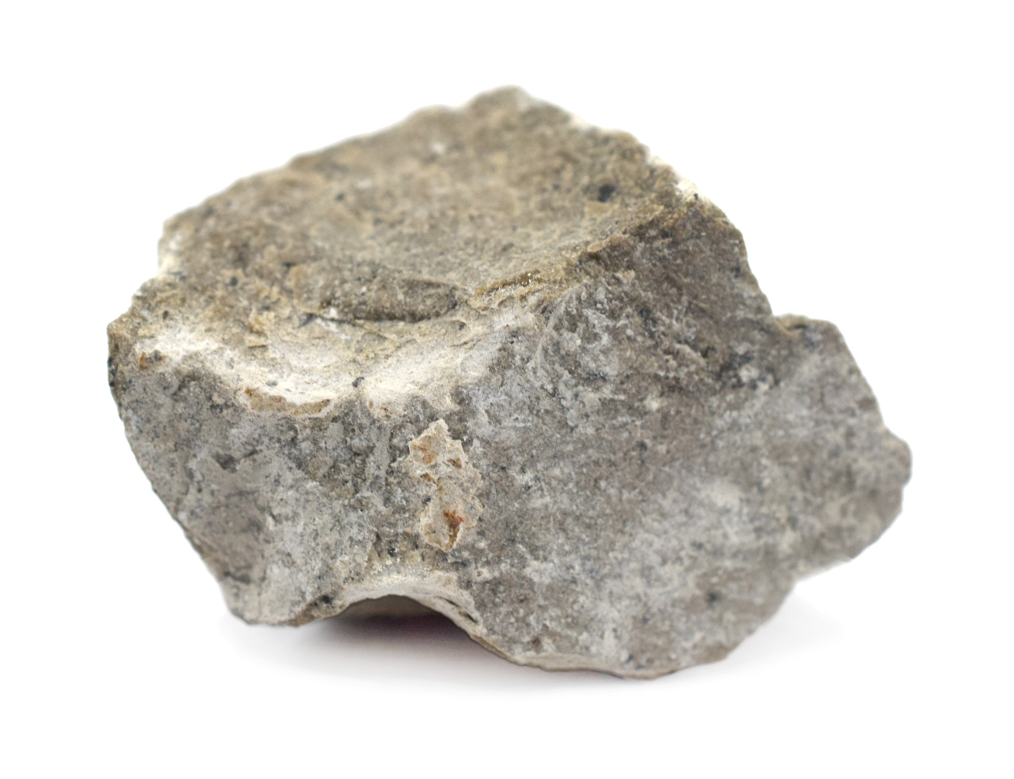 Gray Limestone Specimen
