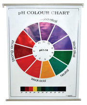 pH Color Chart on Polyart Plastic Sheet with Roller, 29 x 39 inch
