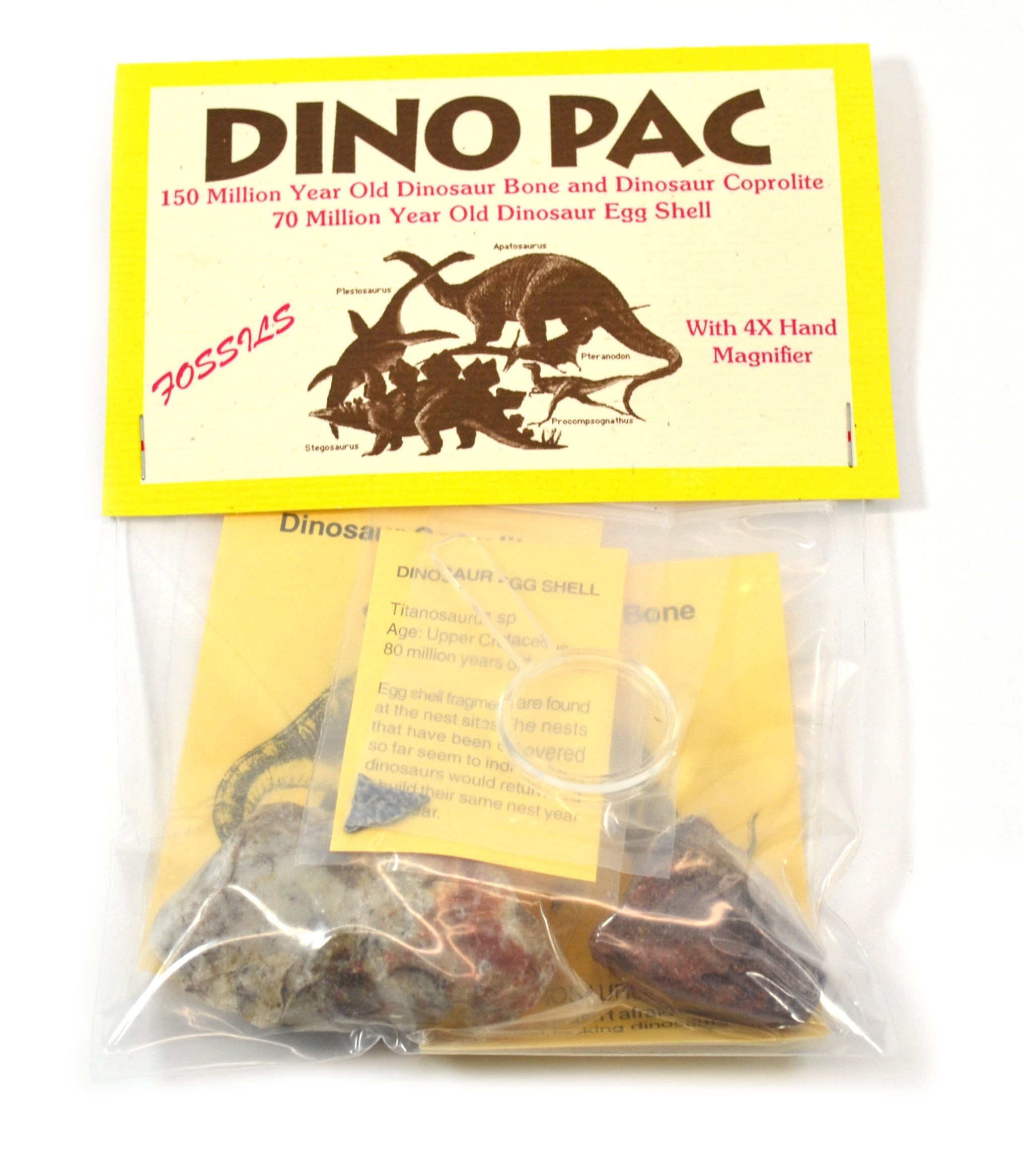 Rare Dinosaur Fossil Pack with Egg, Bone and Dung Fossils and Information Cards