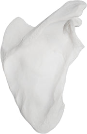 Right Scapula Bone Model