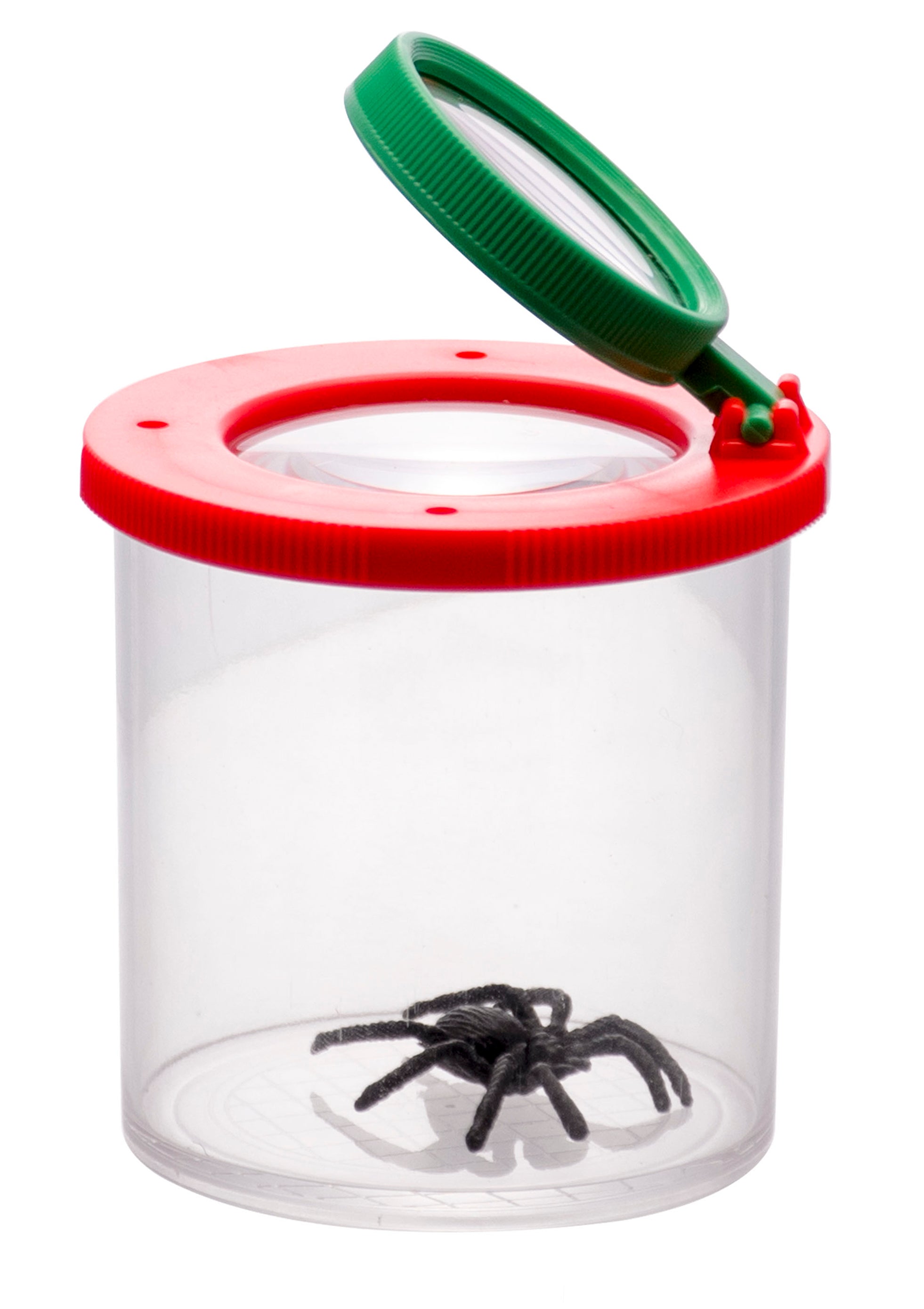 Bug Viewer with Dual 3X/6X Magnification